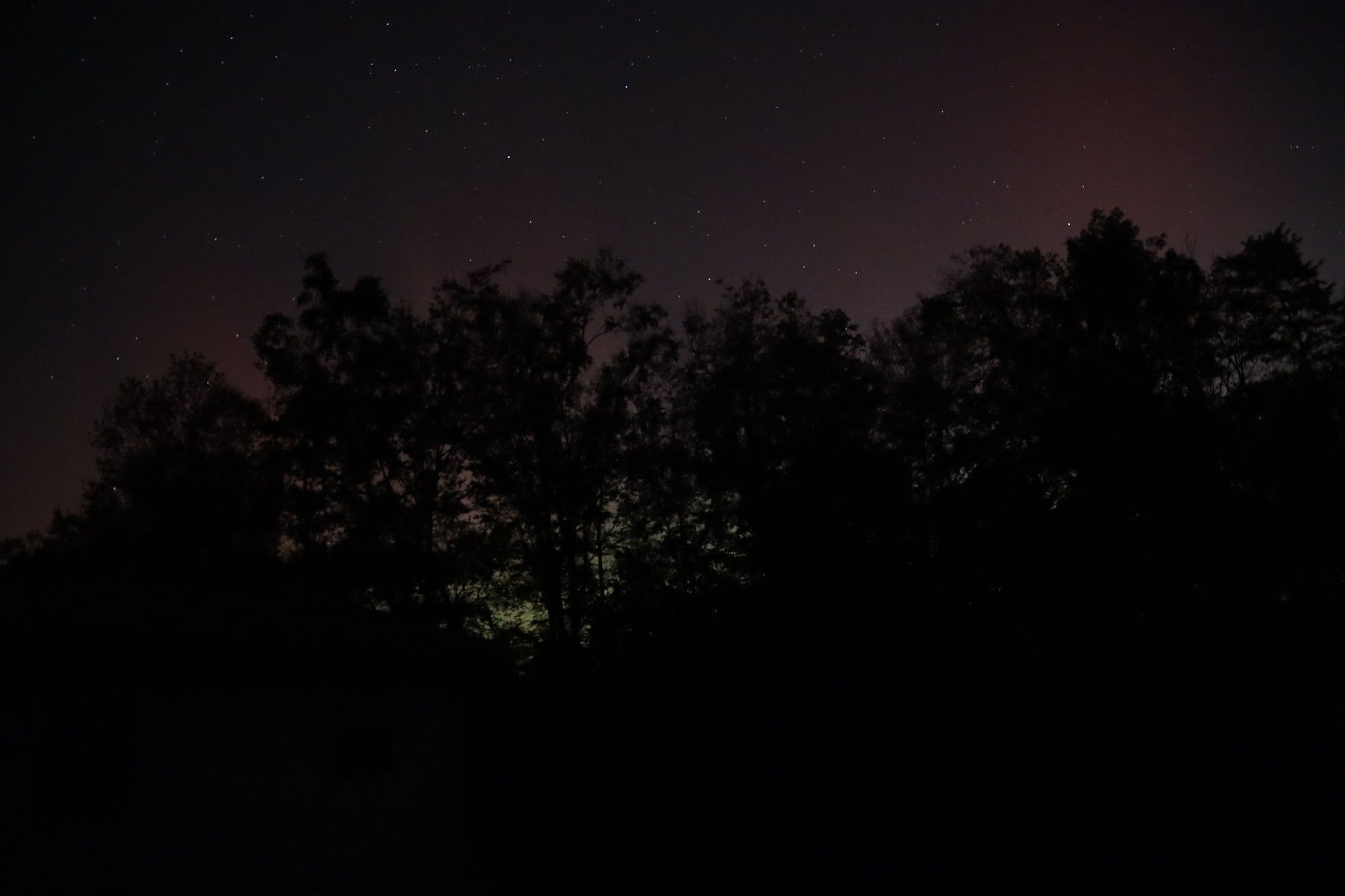 dark trees with green behind them showing through and red above