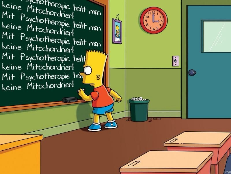 Simpson steht im Schulraum an der Tafel, er hat den Satz „Mit Psychotherapie heilt man keine Mitochondrien“ schon unzählige Male aufgeschrieben