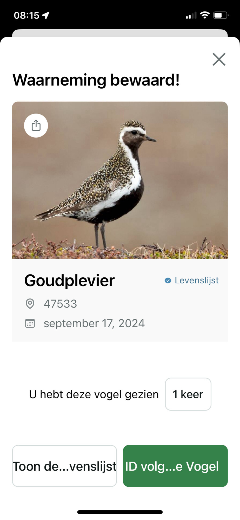 Schermprint met daarop de Goudplevier