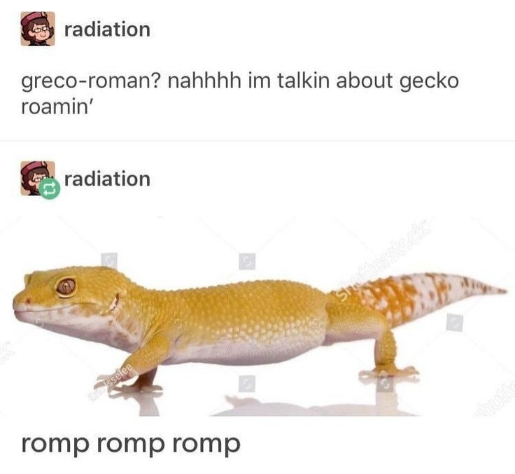 Social media self-exchange with a leopard gecko "stomping" across the screen