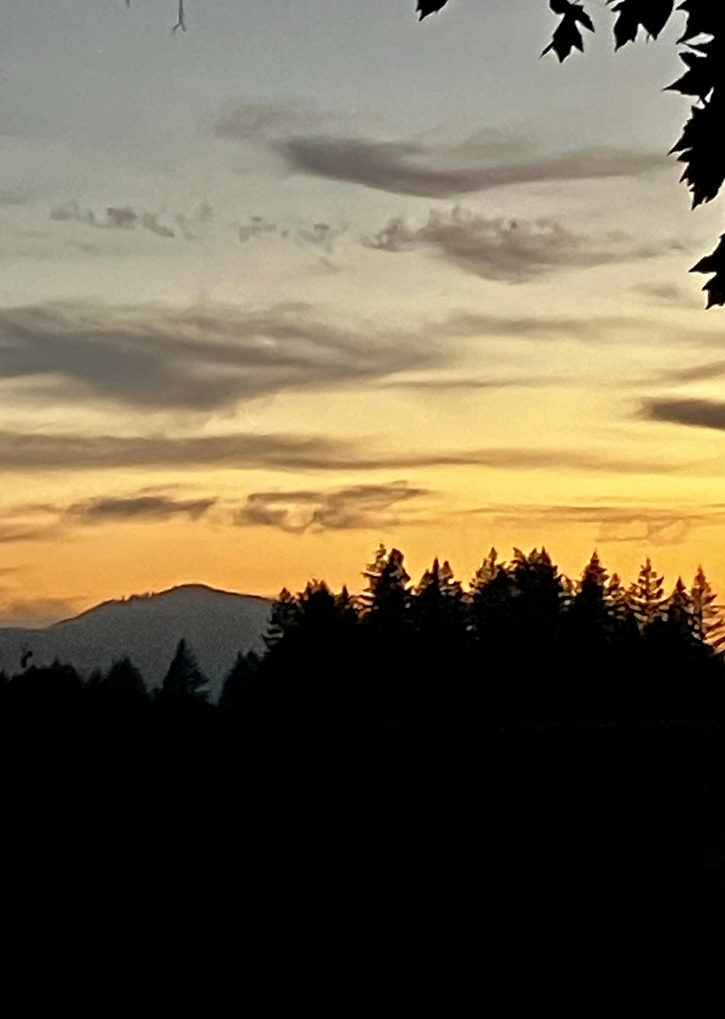 Looking west from Mill City, Oregon shortly after sunset. Trees and a foothill in silhouette down low under a fading orange sky streaked with clouds 