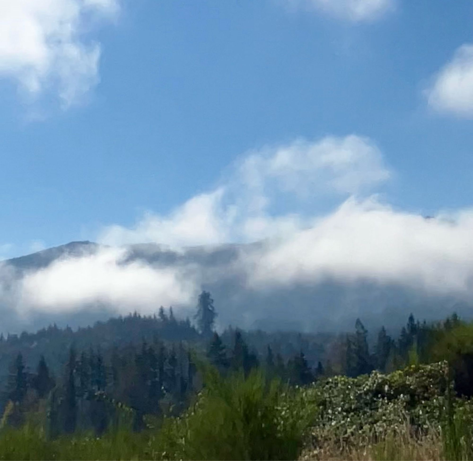 Misty clouds hanging around green mountains under a light blue sky