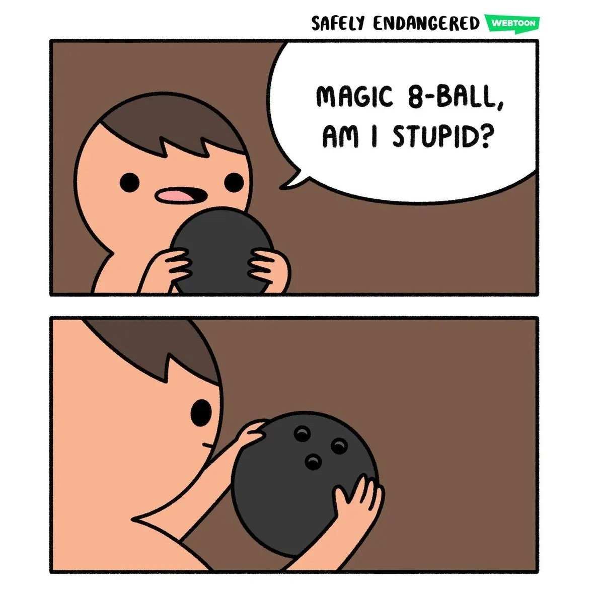 A comic of a man gazing at a dark orb.

"Magic 8-ball, am I stupid?"

The comic shifts perspective to reveal it is in fact a bowling ball.