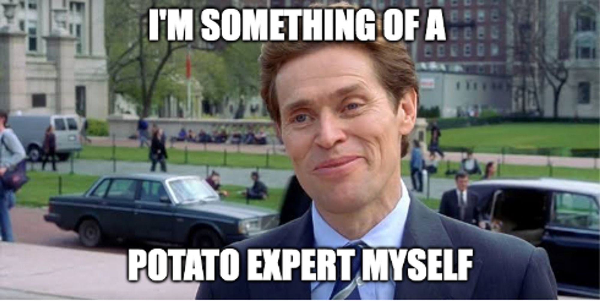 Willem Dafoe meme from Spiderman captioned "I'm something of a potato expert myself."