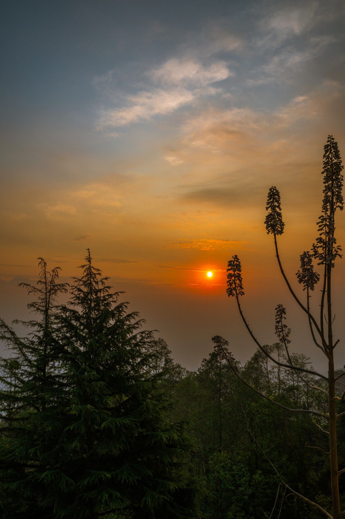 Gradient blue to orange sky as the sun rises over Himalayan peaks viewed from the high vantage point of The Fort Resort, Nagarkot, Nepal
Captured by Komeil Karimi