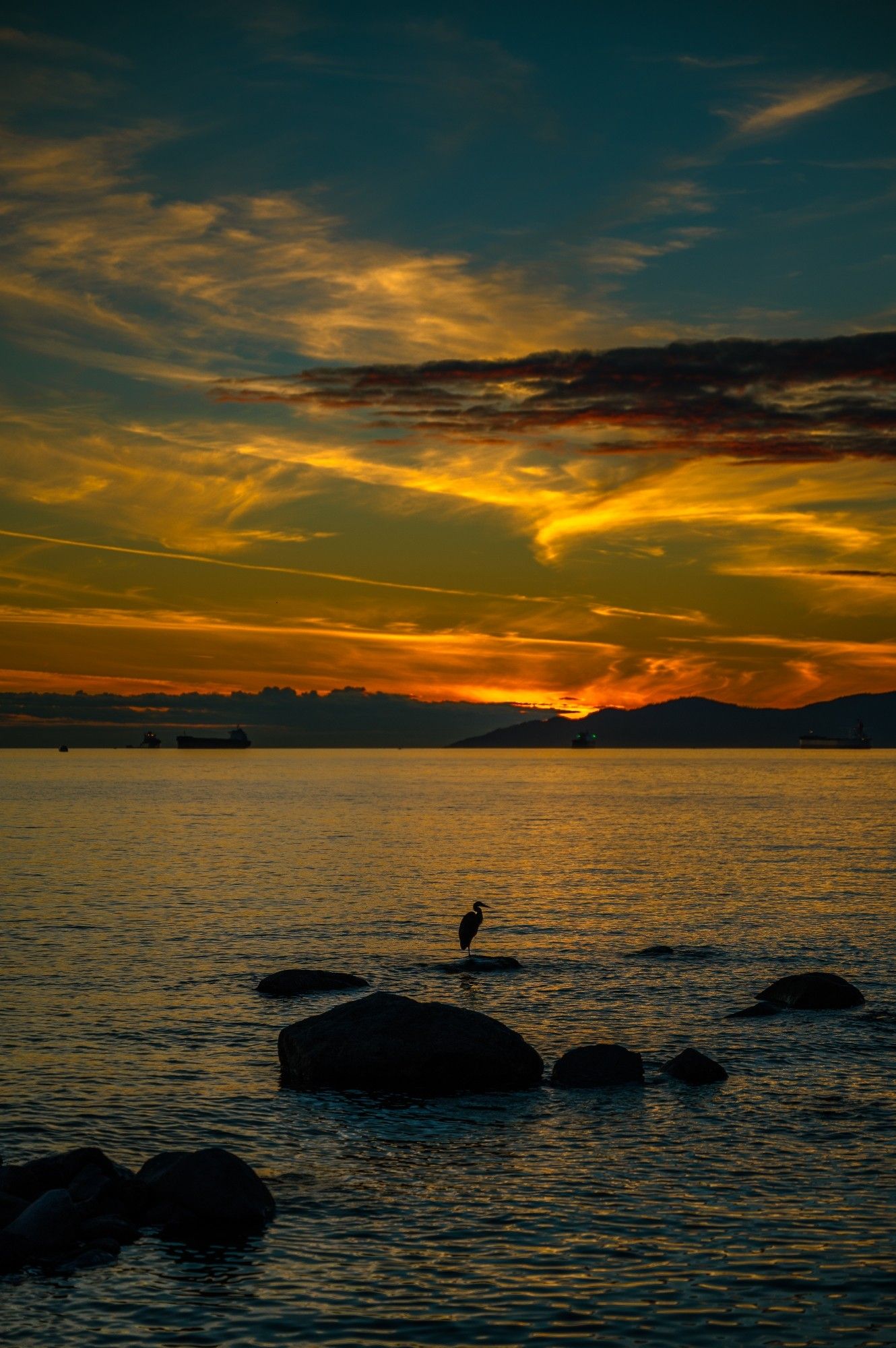 Sunset silhouette of resting heron and shoreline boulders under dramatic orange and yellow sky at English Bay beach, Vancouver, British Columbia, Canada
Captured by Komeil Karimi