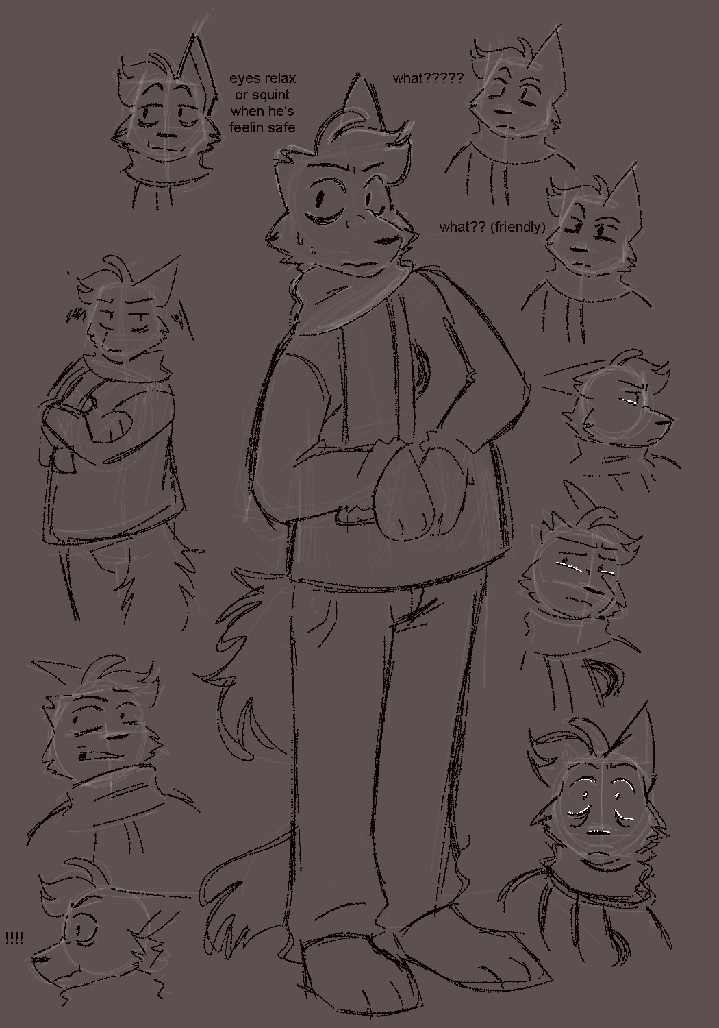 a sketch page of an anthropomorphic coyote, no color.
there's a fullbody sketch, with the coyote looking to the side and standing up straight with his arms over his belly. He wears a sweater, jeans, and a thick scarf. his right ear is torn off. He has a mixed nervous expression.

surrounding the fullbody is multiple bust shots. on the left side: one bust of the coyote looking to the left with a small smirk. text next to the head reads "eyes relax or squint when he's feeling safe." below the bust is a halfbody sketch of the coyote with crossed arms and looking behind him towards the viewer, looking irritated and pouting.
below the halfbody is two bust shots- one has him tilting his head up and looking disgusted. the next is him looking to the side with a surprised expression.

to the right is two identical busts of the coyote looking forward, with his eyes being adjusted. the first bust, his eyes are wider and his pupils are small. the text next to the head reads, "what???" the other bust has dilated eyes that are squinted. the text next to this head reads "what?" with the word "friendly" in parenthesis.
under these two identical headshots is three more busts, with the coyote looking to the right, then turning to the viewer, then looking straight on. he has tears in his eyes and his expression changes from upset to surprised and horrified.