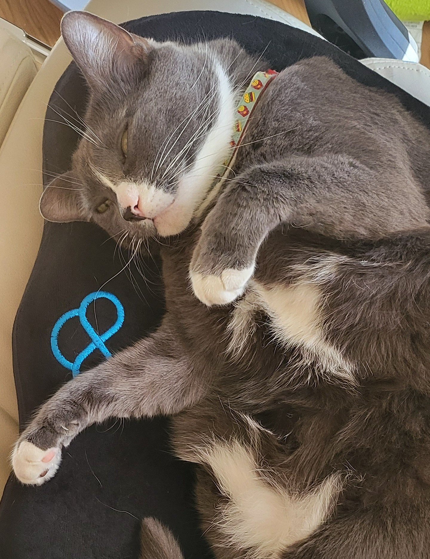 My grey and white bowling ball of a cat Lock, laying my my chair with his big belly up, with his eyes squinty and a half awake smile on his face.

He knows I need to work and is absolutely not moving from my chair.