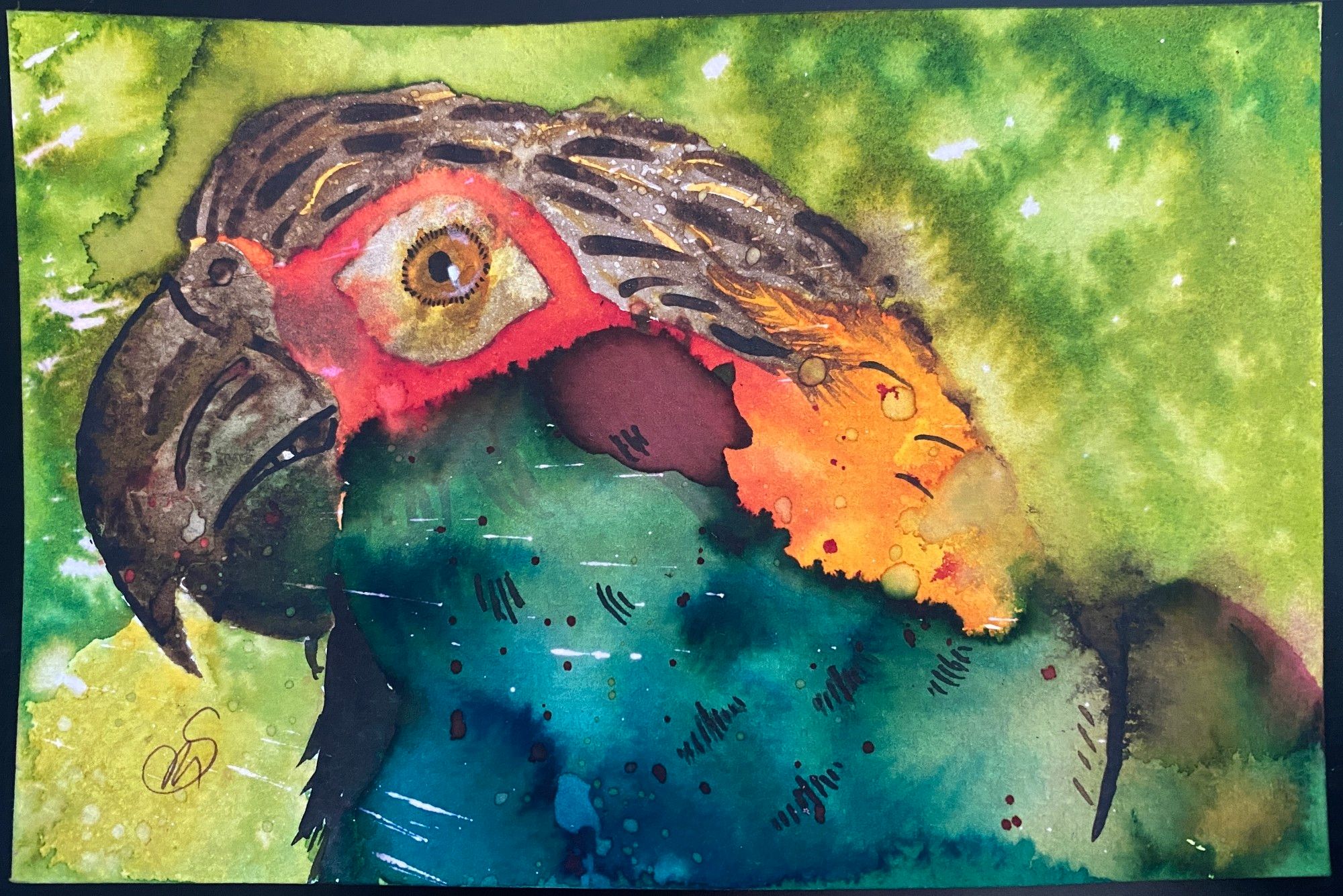 A fountain pen ink painting of a parrot in shades of red, yellow, orange, and brown. It faces to the left while one eye stares directly at the viewer.

🎨 #art #traditionalart #fountainpen #fountainpenink #inksky #sciart 🪶