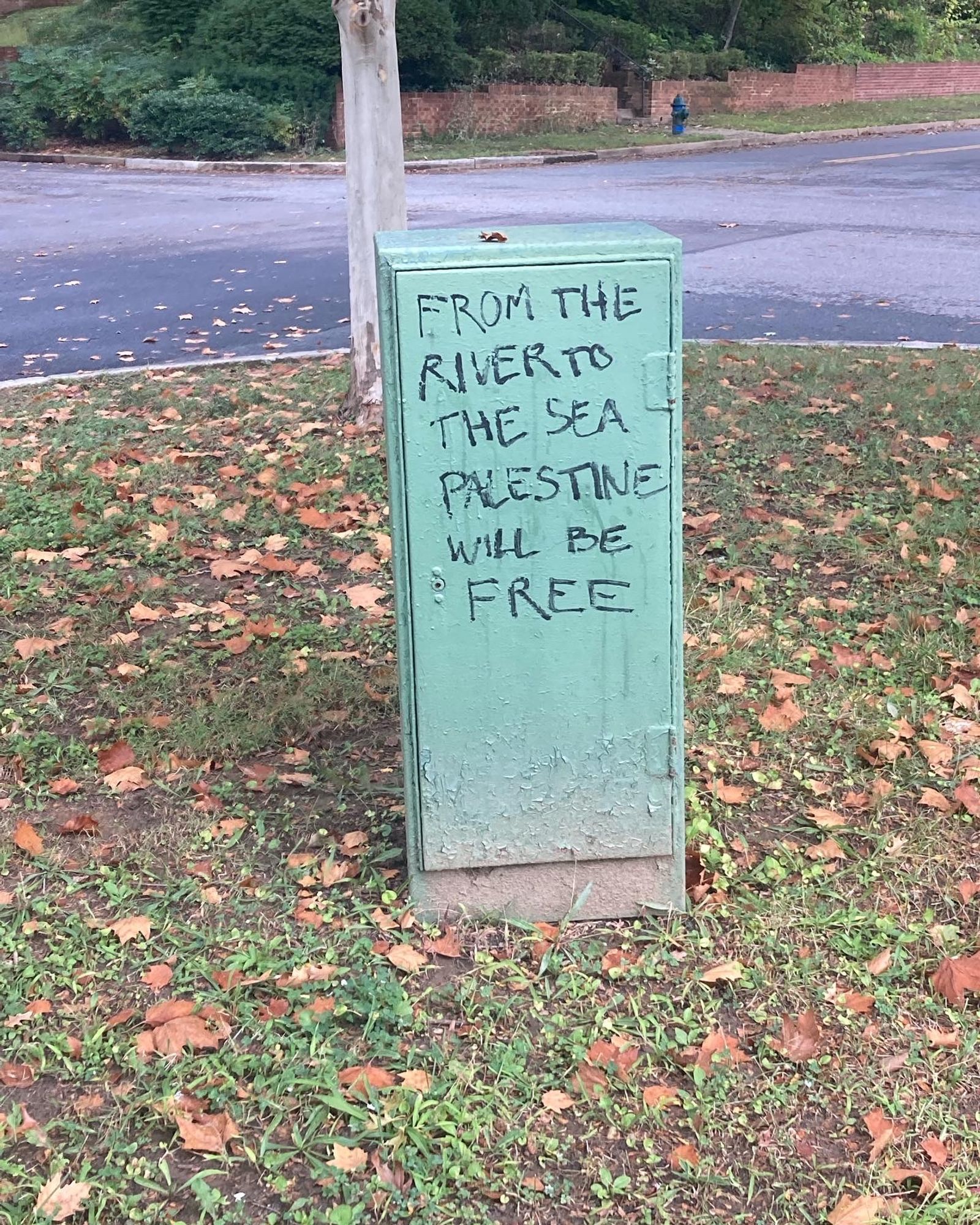 Black lettering on the side of a green electrical box reads: From the river to the sea, Palestine will be free