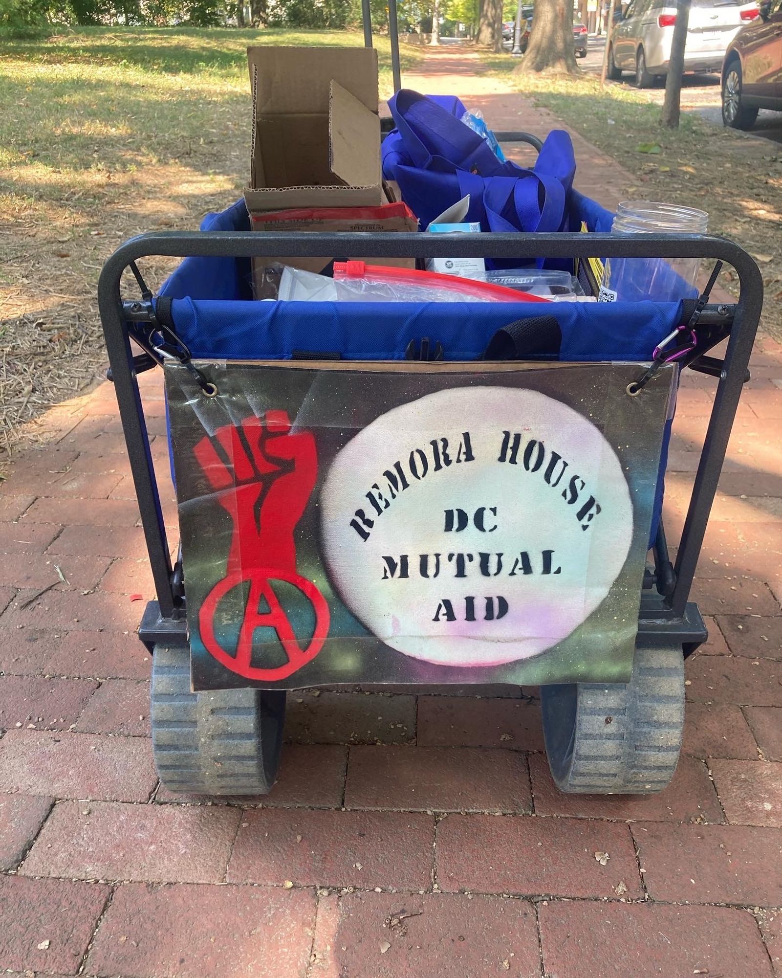 Back of blue Remora House wagon with supplies visible in blue bags and cardboard boxes inside the wagon