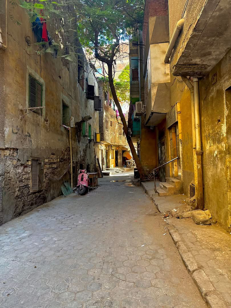 A view down a street paved with pentagonal bricks on the edge of historic Cairo. Dun-colored stucco peels from the buildings. A tall, weedy tree, somehow clings to life, reaching skyward to catch the sun.