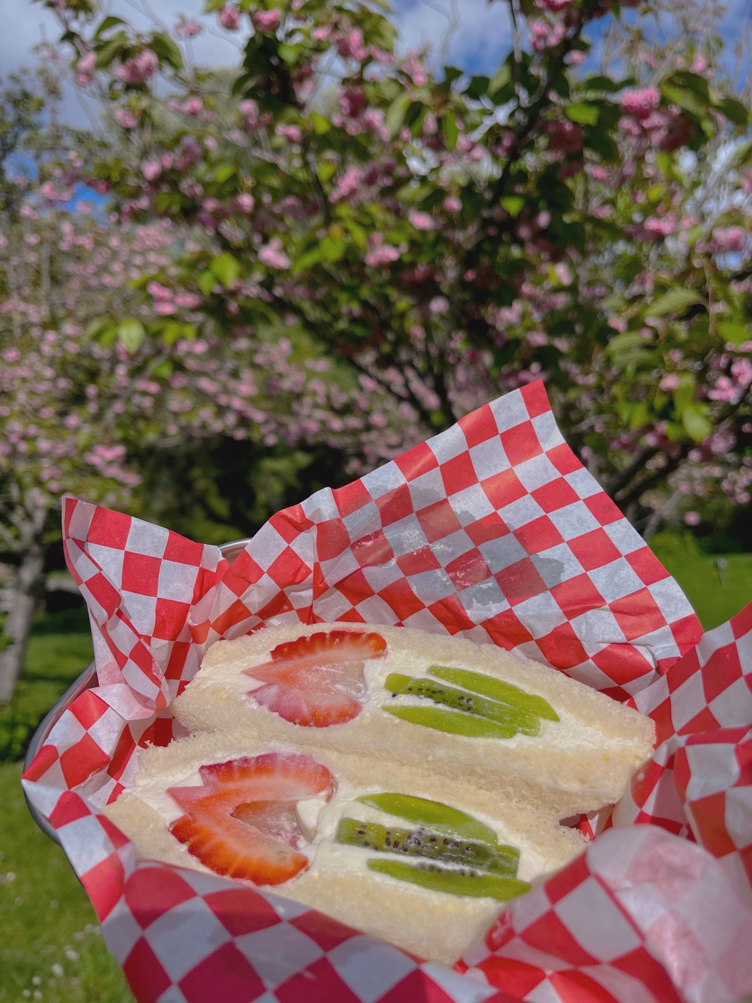 japanese fruit sandwiches with the strawberry and kiwi slices arranged into a tulip, stem, and leaves