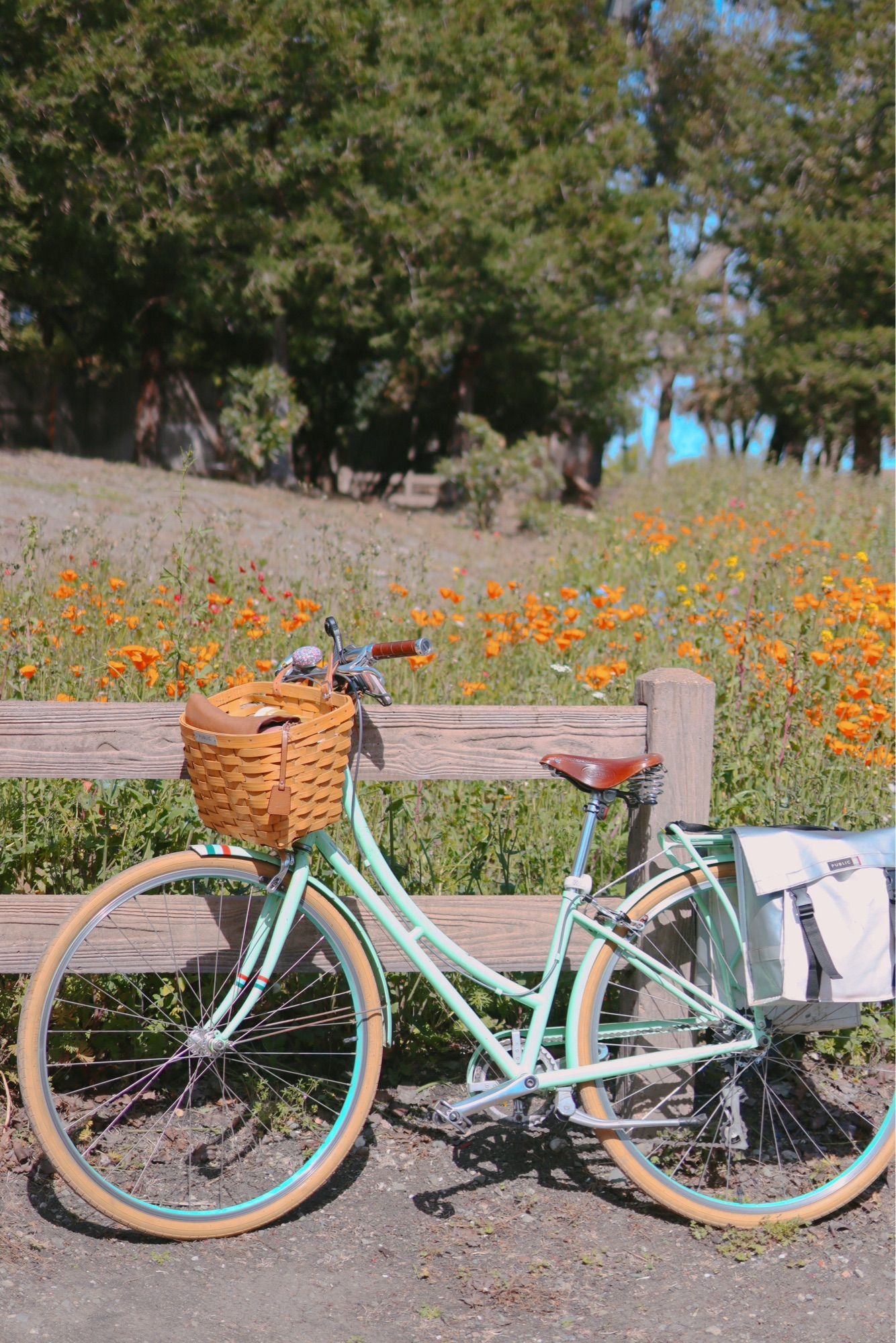 mint green bike with a basket in front of a wooden fence and field of california wildflowers including poppies and baby blue eyes