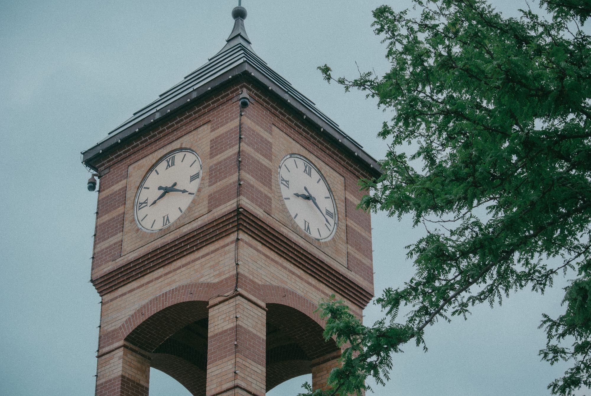 clock tower and some branches of a tree