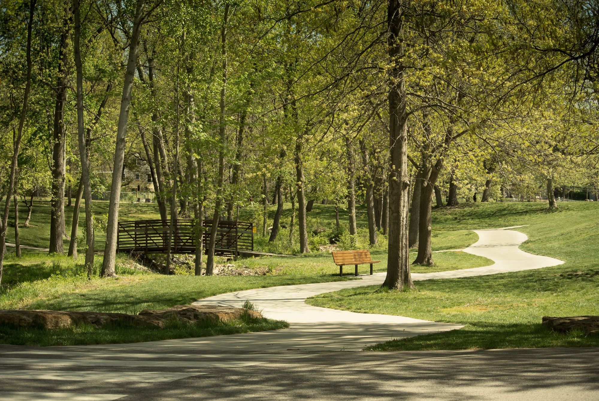 image of a bench and bridge over a creek at the park, surrounded by trees