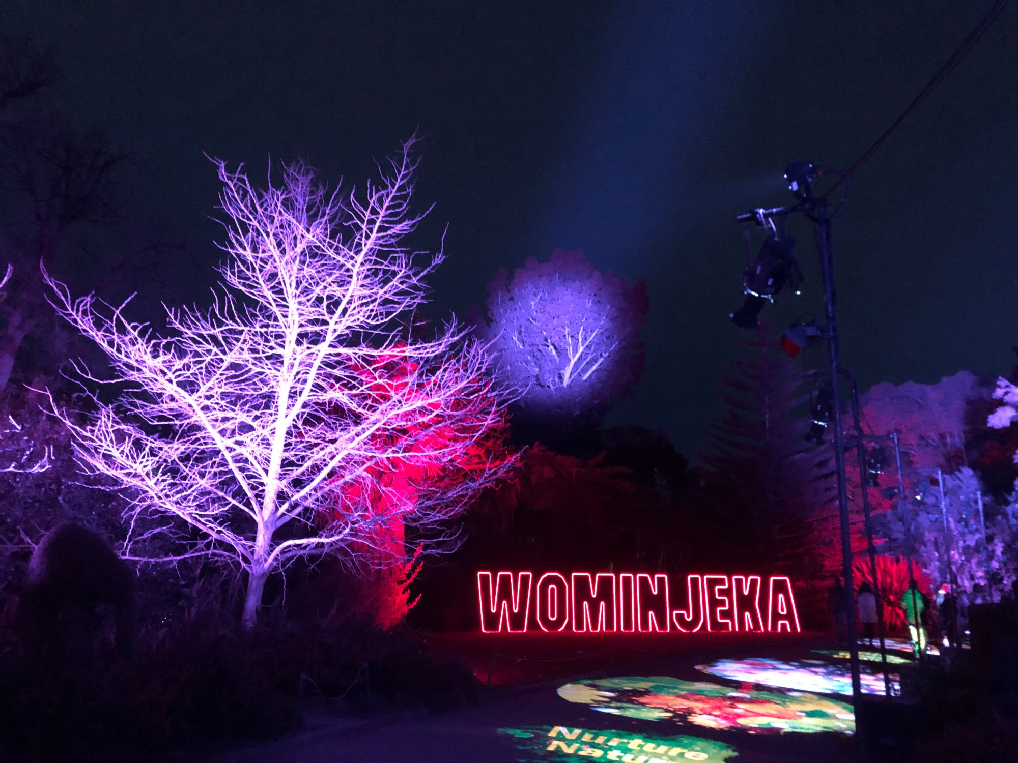 Nighttime, colourfully lit trees and a sign that says WOMINJEKA