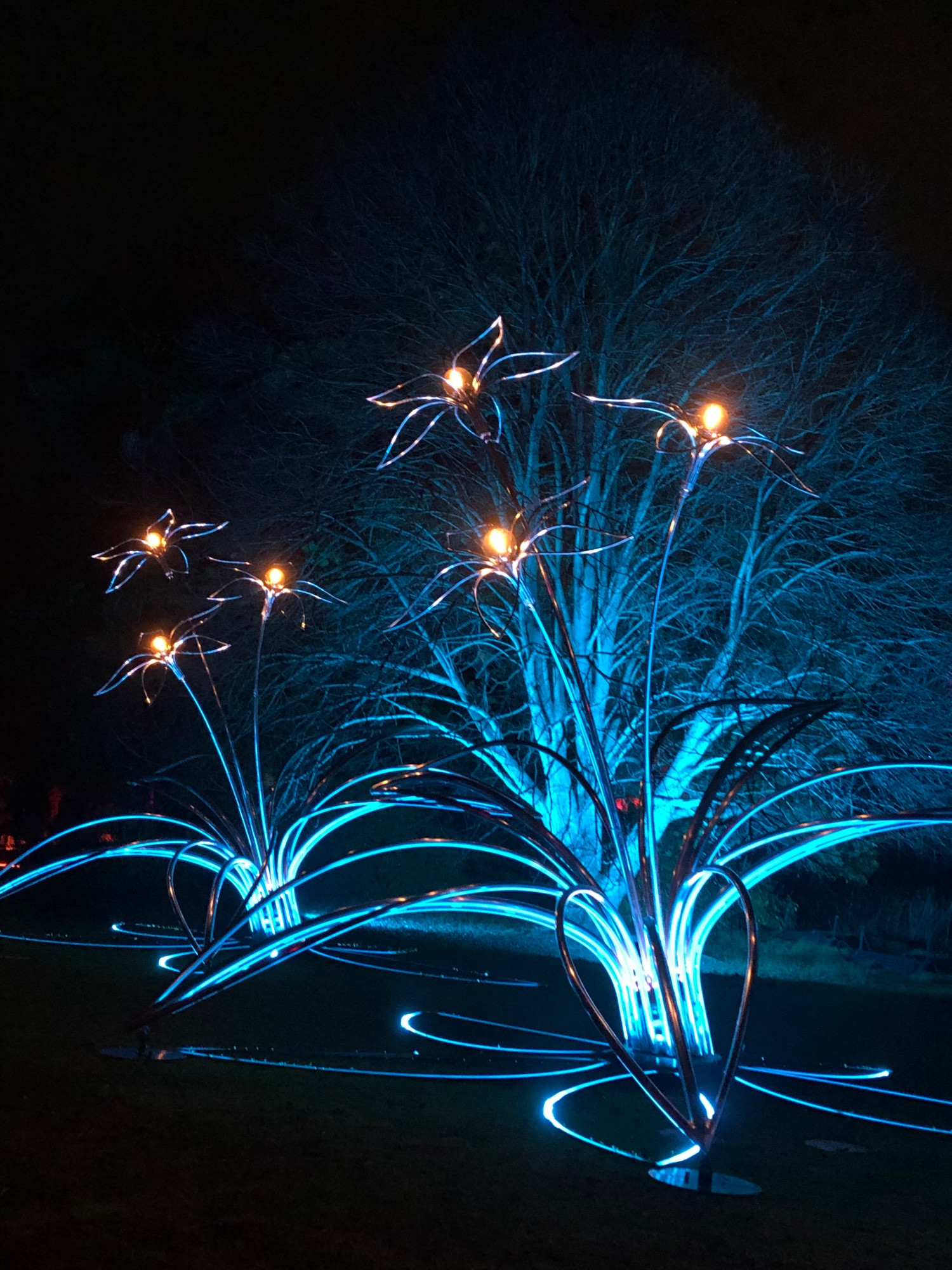 Tall constructed lilies made of steel and shining blue in this shot