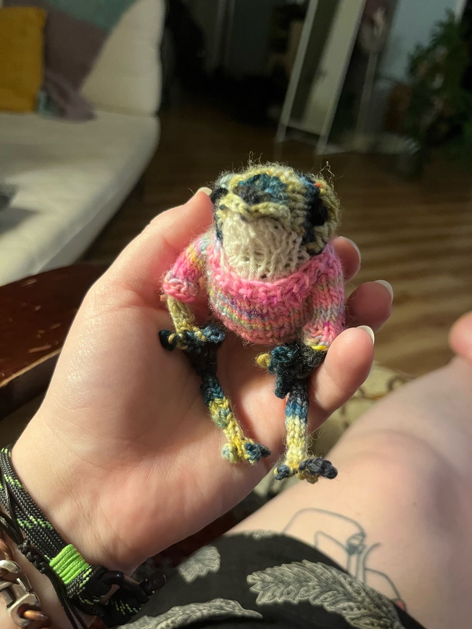 A small knit drog in a pink sweater