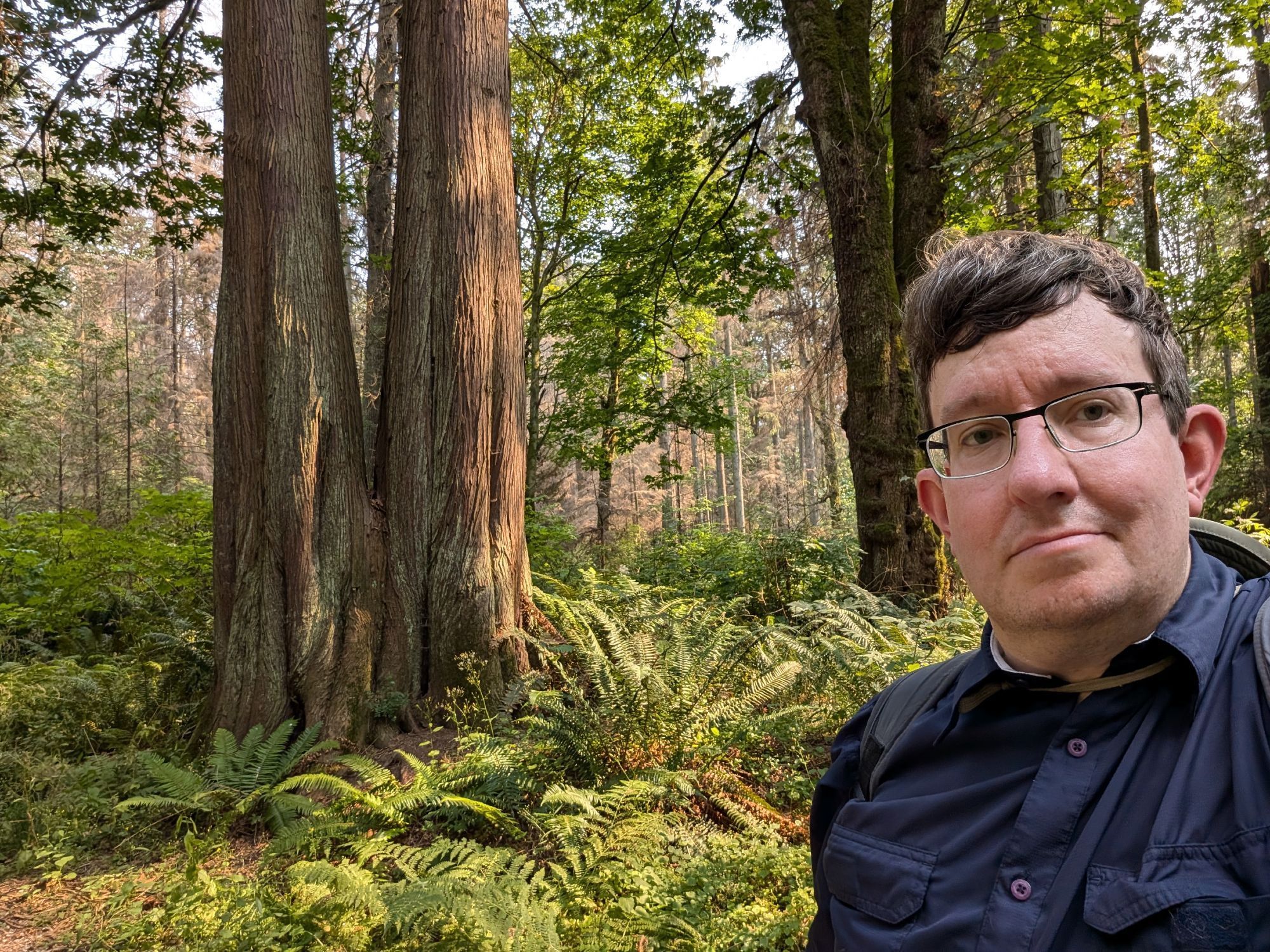 Me (white male) in the woods in Vancouver with some large trees and ferns in the background, looking like the set for many Sci-Fi B-movies.