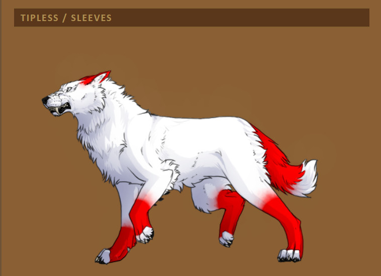 A sabreloup (essentially a wolf with sabre teeth) with red "tipless" markings (red along the outside of the ears, red socks missing the toe tips, and a red tail missing the tip).

Header reads "TIPLESS / SLEEVES"

This was my suggestion post I made back in 2021 where I drew the markings on a white sabreloup base.