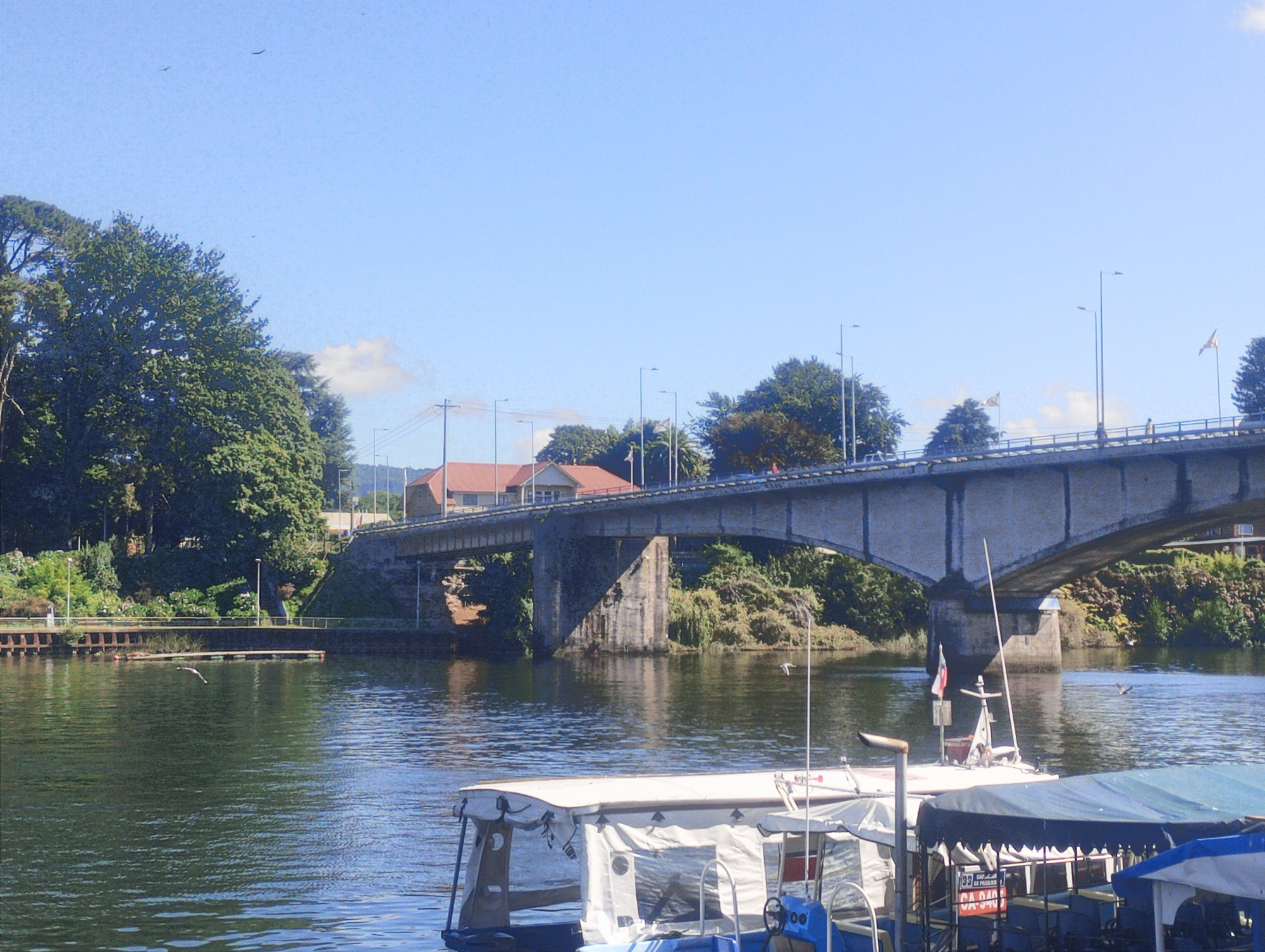 The arched main bridge that connects Valdivia to Isla Teja, where the Austral University is. The wide Valdivia river runs beneath, surrounded by docks for the water taxis and fishing boats, some of which appear on the foreground.