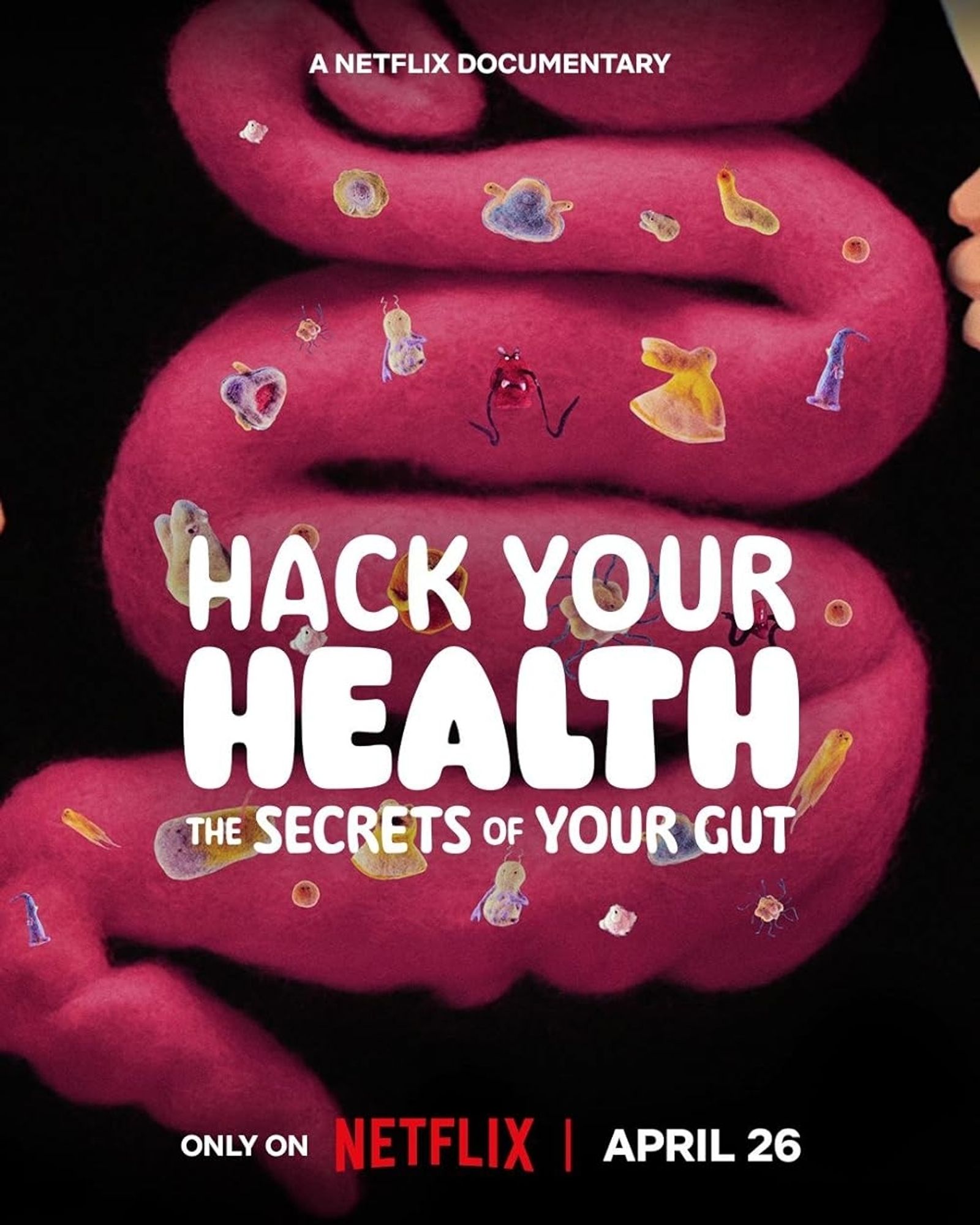 poster for "hack your health", a netflix documentary