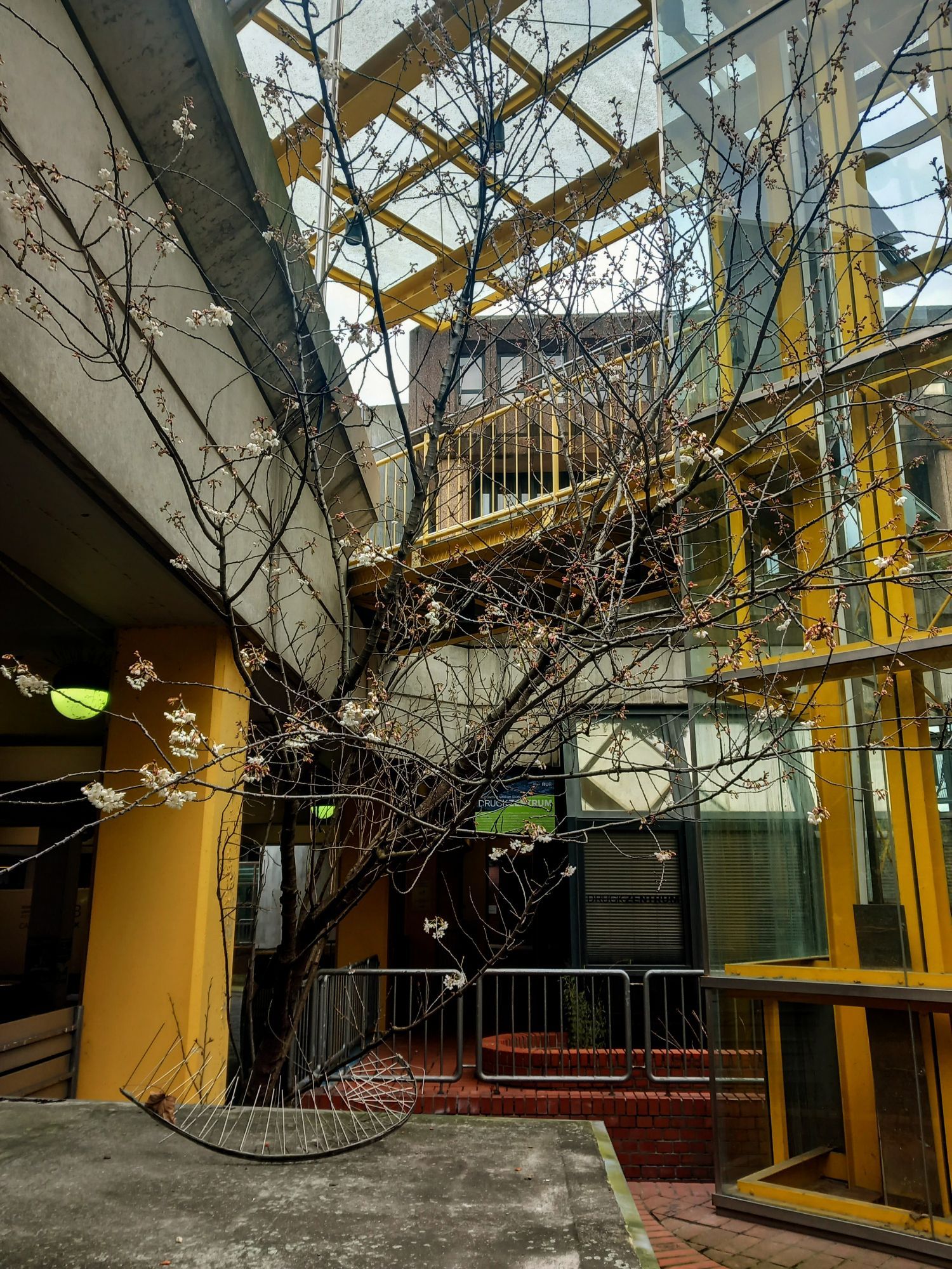 Treppenaufgang und Autobahnbrücke auf dem campus, beton Stahl und gitter, dazwischen ein blühendes Bäumchen