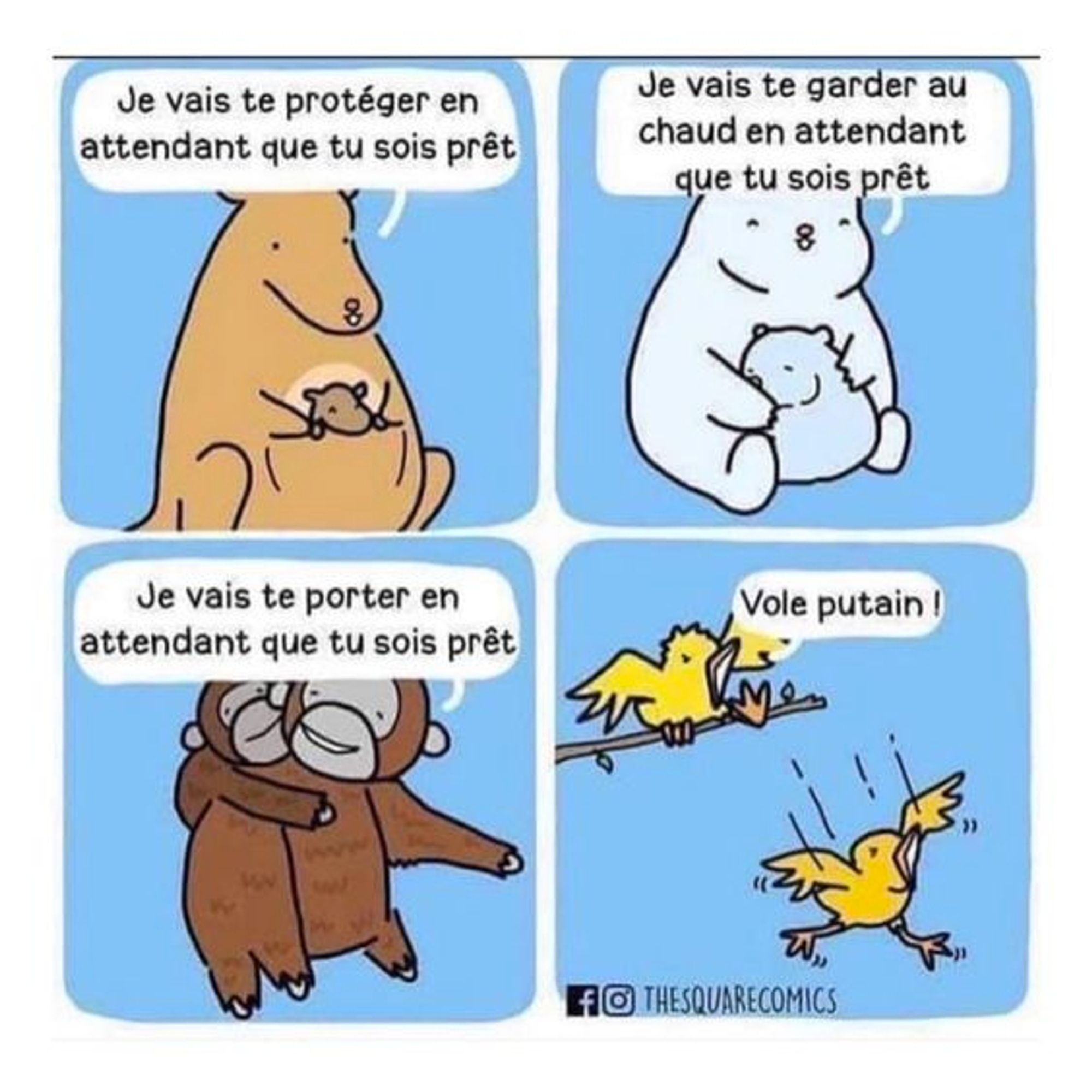 Une BD où l'on voit les mères animaux protéger leurs petits et un oiseau poussant son oisillon lui disant : Vole putain !