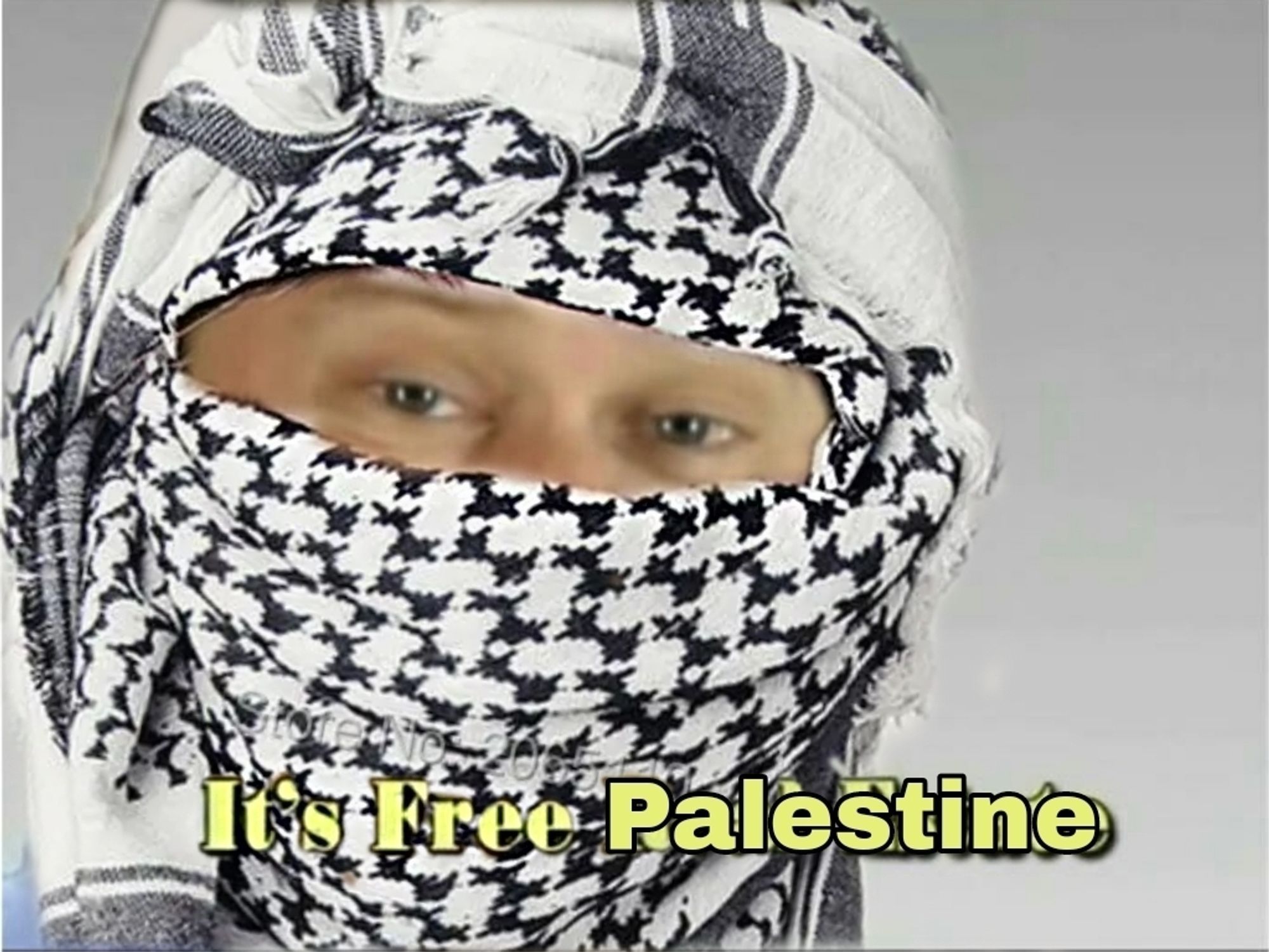 the It's Free Real Estate meme but the guy is wearing a keffiyeh and the text says It's Free Palestine