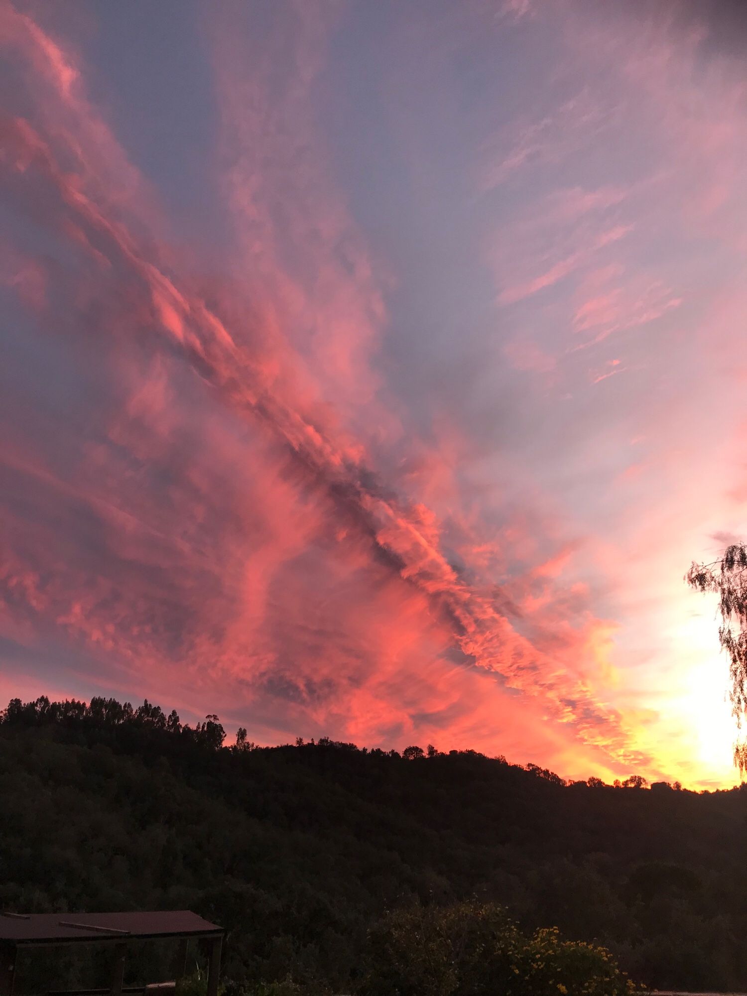 Rot gefärbter Himmel mit einem dicken Kondensstreifen, der das Foto von oben links nach unten rechts durchkreuzt. Unten rechts eine Ecke mit leuchtend gelbem Himmel. Am unteren Bildrand ein Wald im Schatten.