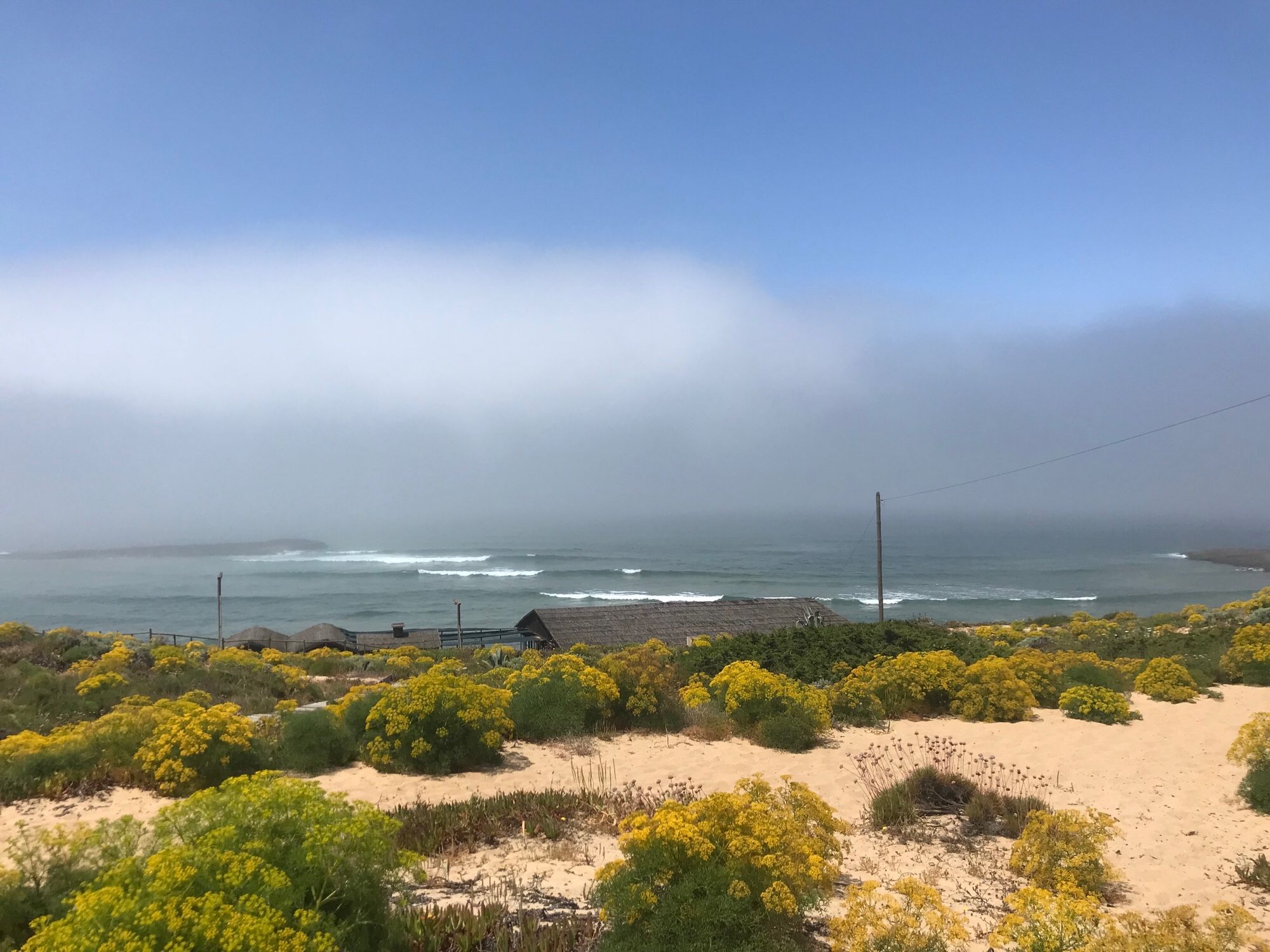 Bewachsene Dünen, dahinter Meer, darüber Nebel unter blauem Himmel