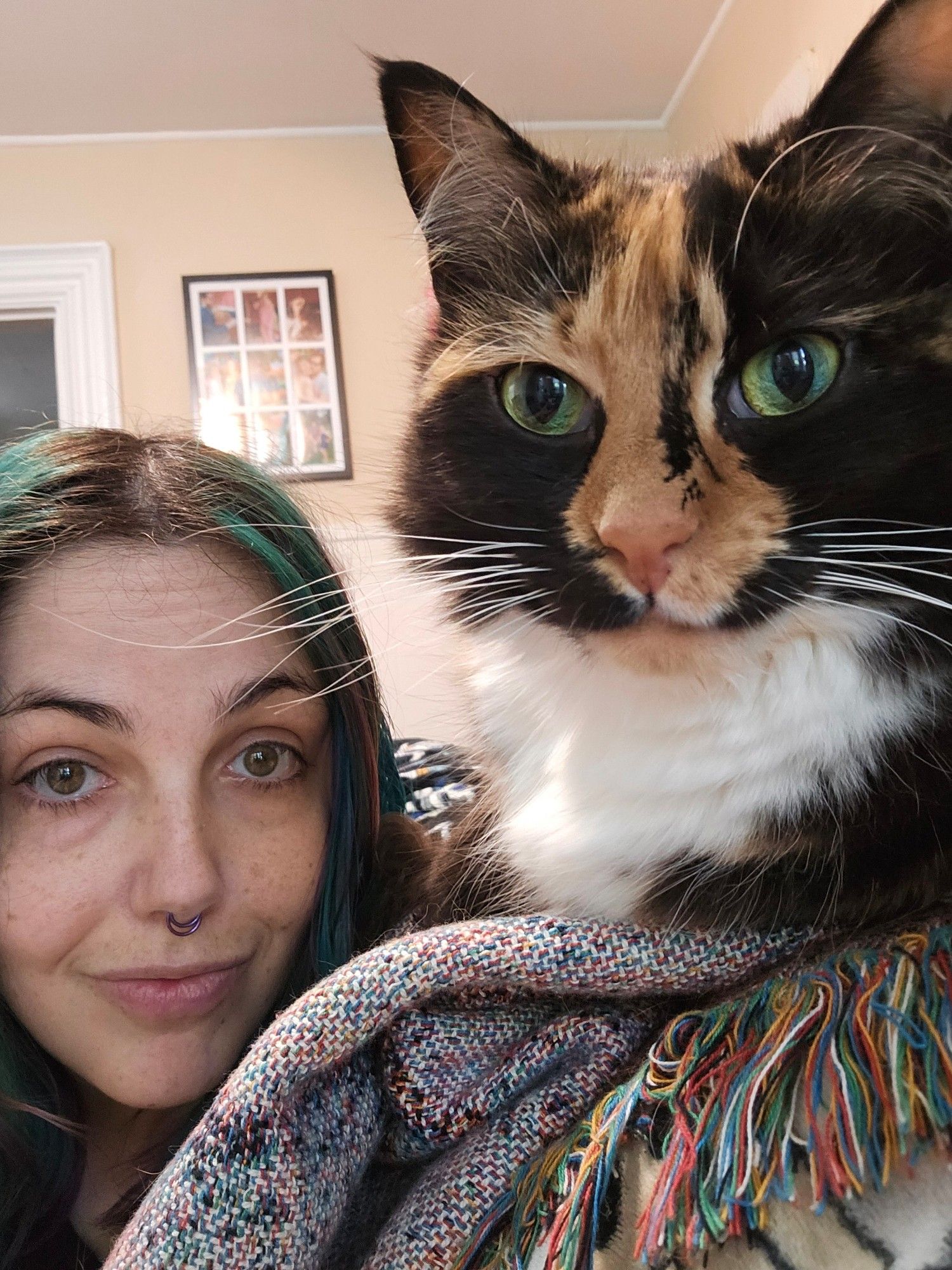 Rae, a white nonbinary person with purple and turquoise hair, poses with their face next to Dahlia. Dahlia is a small fluffy calico cat with green eyes and long white whiskers