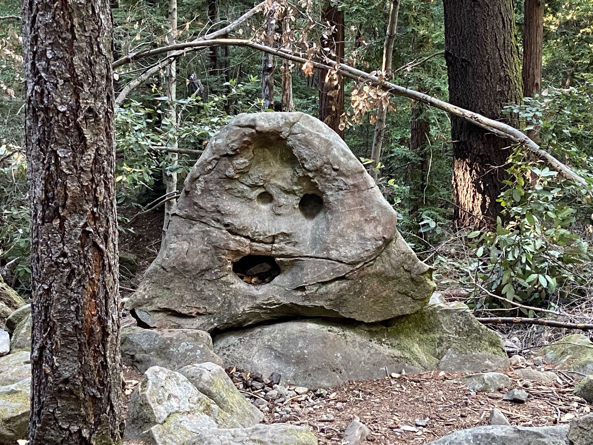 A big sandstone rock has three naturally carved holes that look like funny eyes and a mouth. Nature rocks!