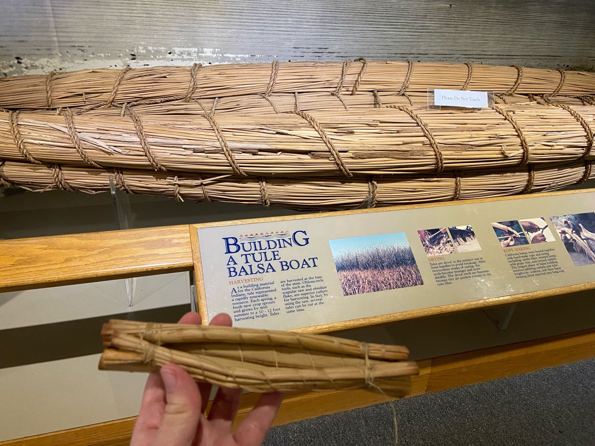 I'm holding a small toy boat made from "tule", a thick reed that grows in marshes.