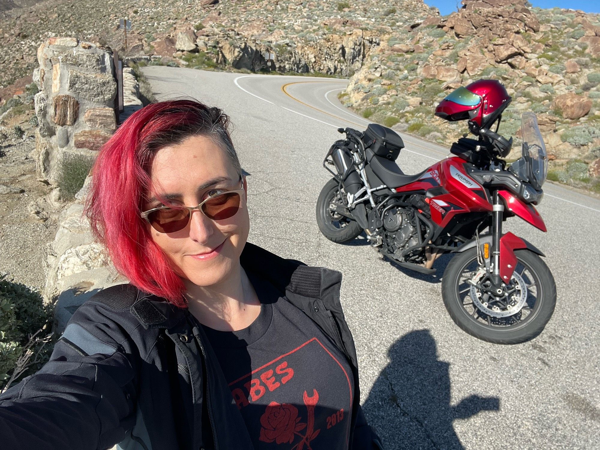 Foreground: aeva has bright red hair and a side shave, and is wearing sunglasses, an armored riding jacket, and a black tshirt with a picture of a crossed rose and a wrench.

Background: a red sport-touring motorcycle is parked on gravel next to a sharp turn on a two lane road in a mountainous, rocky desert. The motorcycle color matches aeva’s hair.