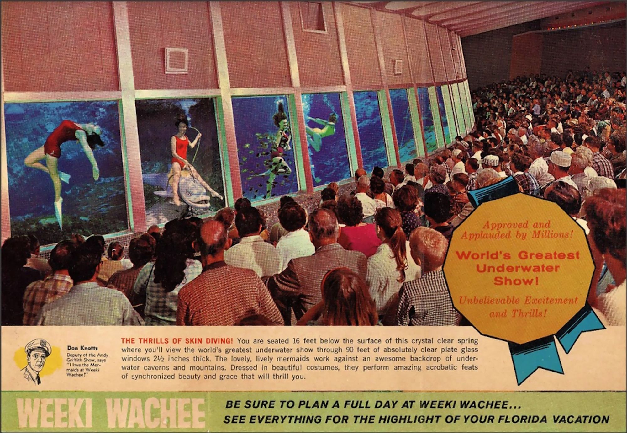 1950s advertisement for the Weeki Wachee resort in Florida