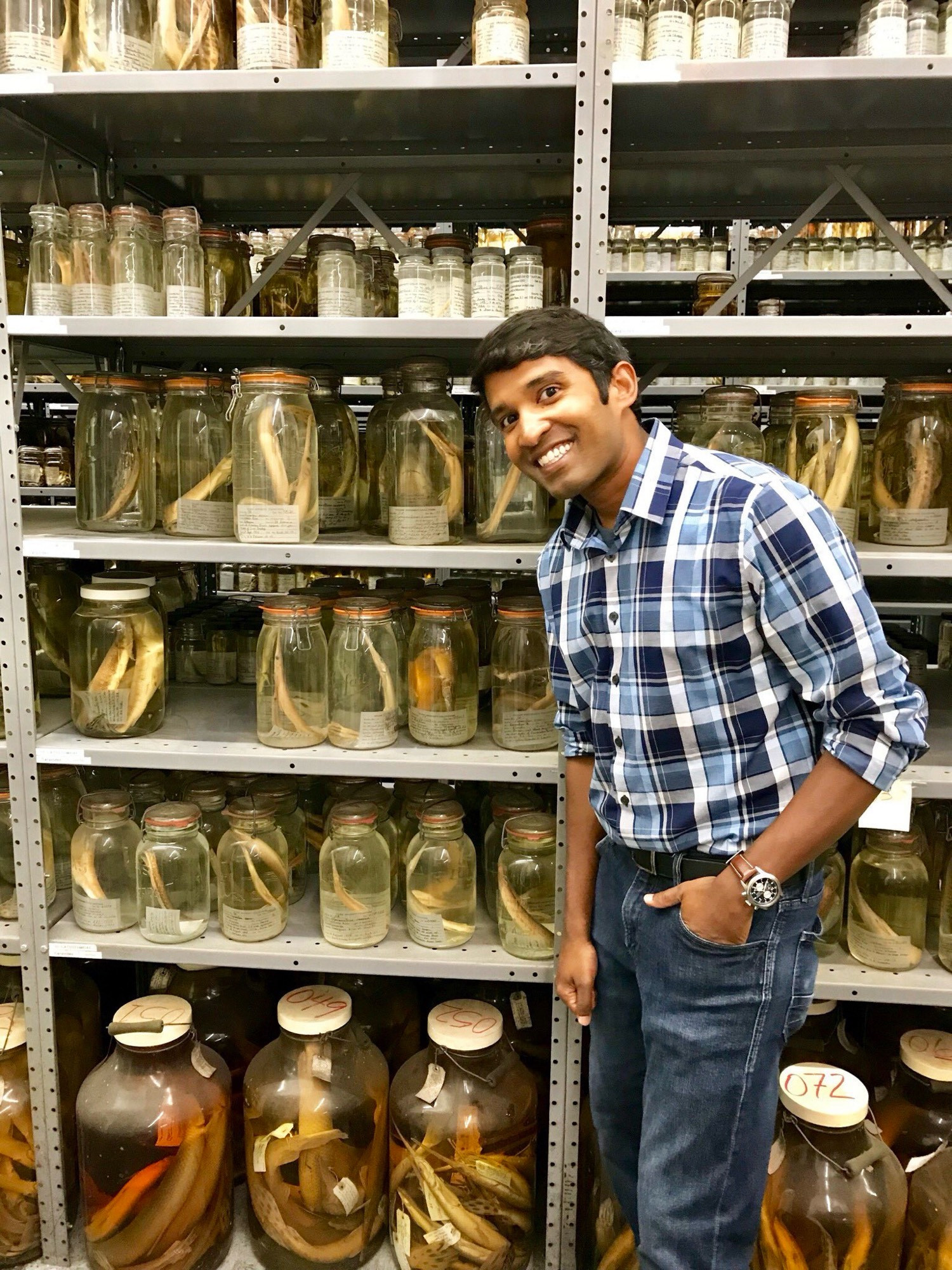 A fish ecologist stands next to a wall of gars in jars at the Royal D. Suttkus Fish Collection (museum) at Tulane University.