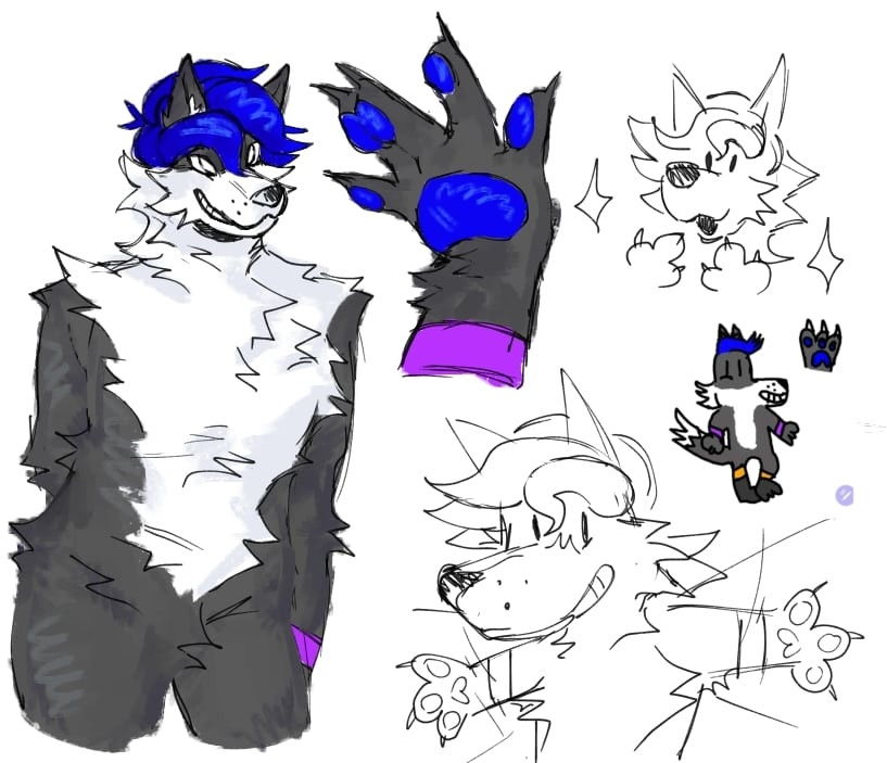 Skiox ref sheet