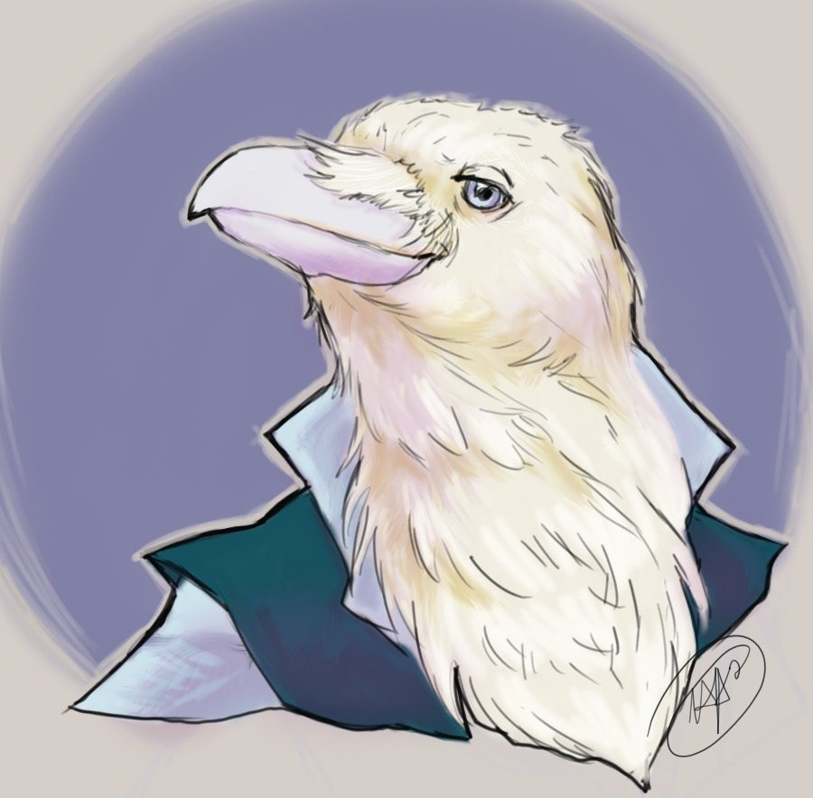 A colored bust portrait of a white kenku named Voip