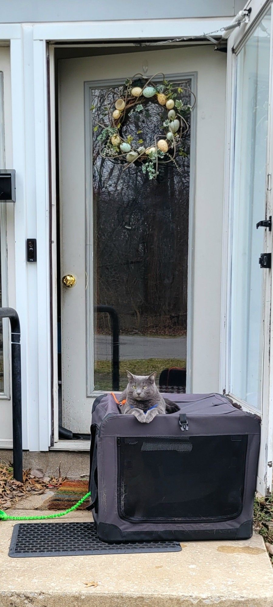 A gray cat sitting on a soft pet crate placed in front of a house door, with an easter-themed wreath hanging on the door. An orange cat hides inside the pet crate.