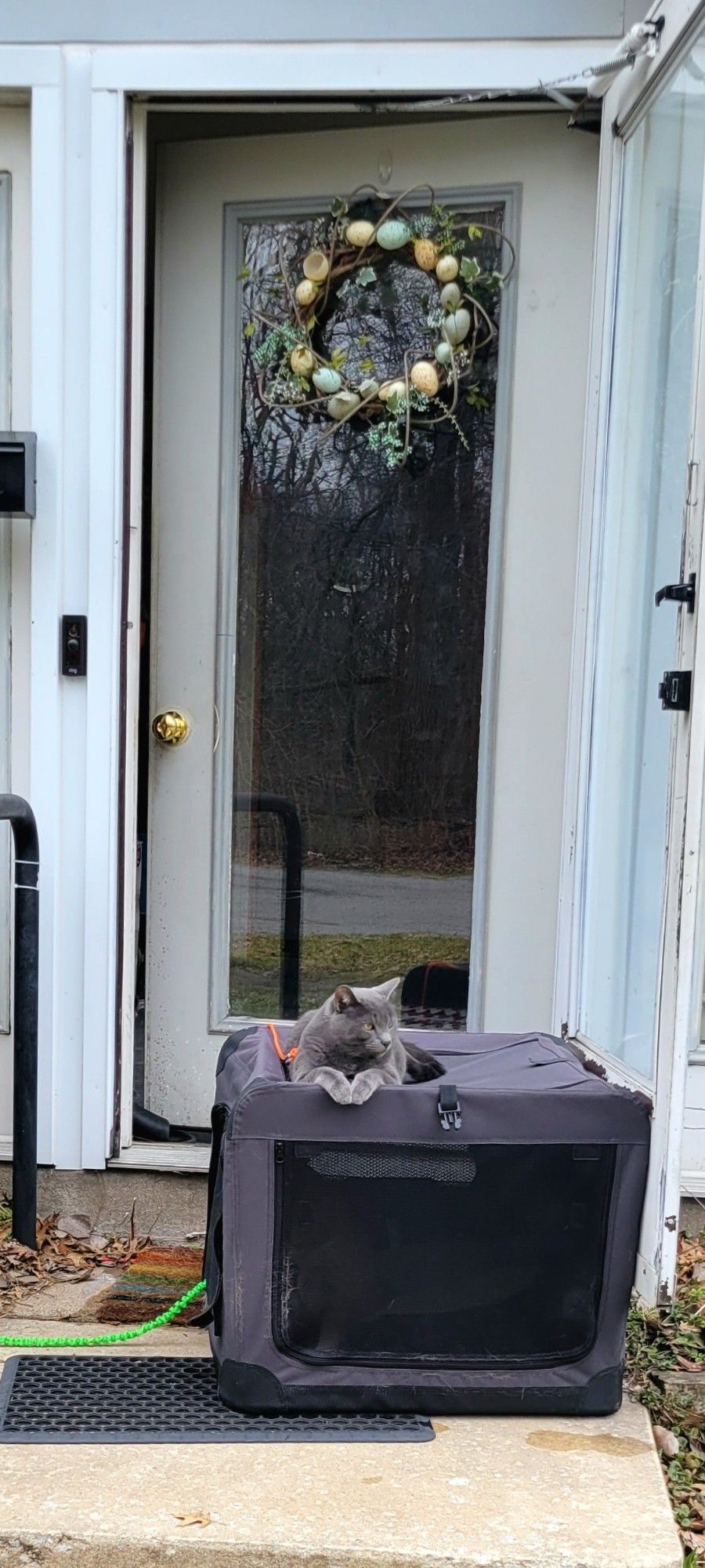 A gray cat sitting on a soft pet crate placed in front of a house door, with an easter-themed wreath hanging on the door. An orange cat hides inside the pet crate.