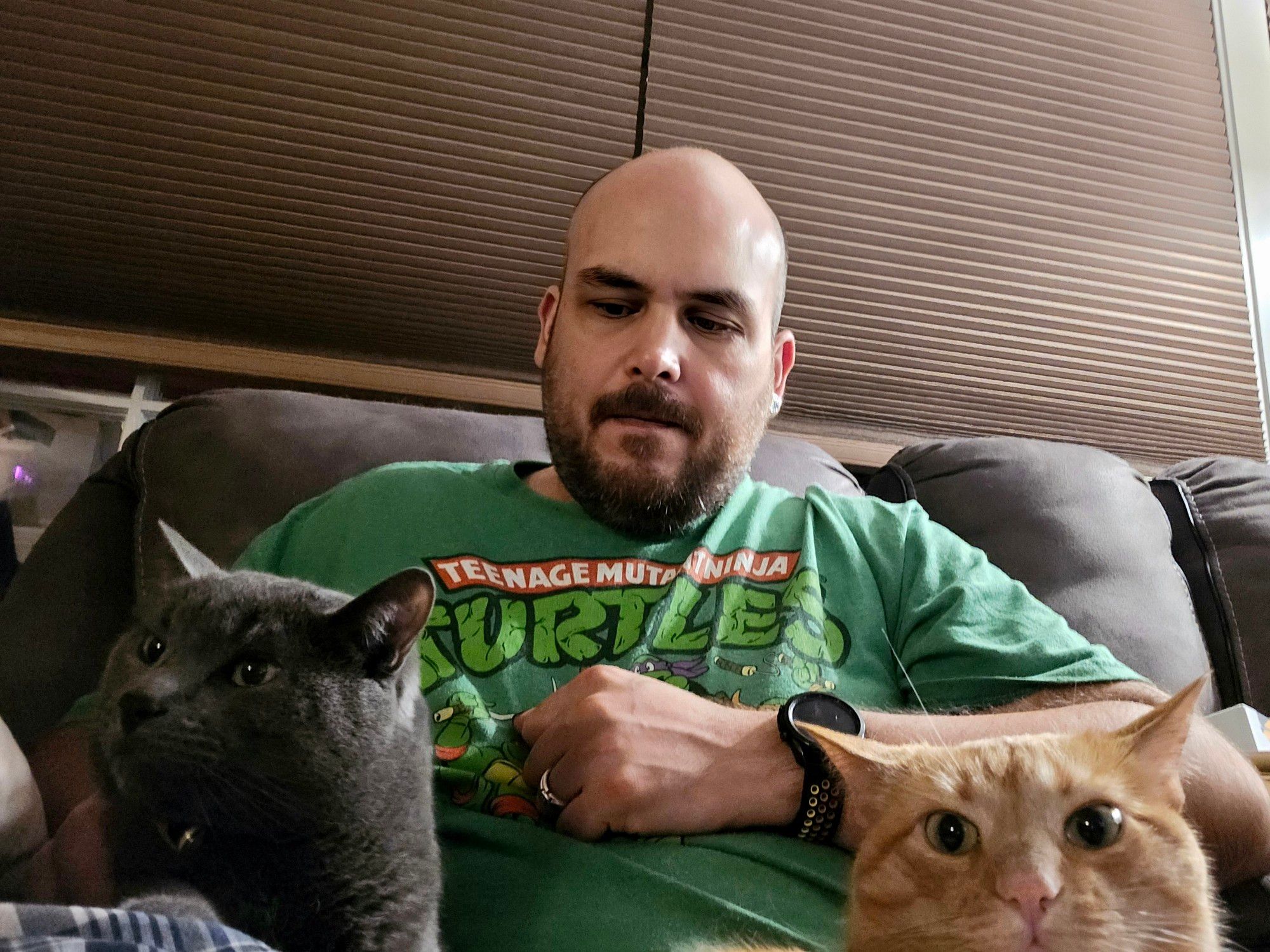 The image shows a man sitting on a couch with two cats on his lap. He is wearing a green "Teenage Mutant Ninja Turtles" T-shirt and looking down at the cats. The cat on the left is gray, and the cat on the right is orange. Both cats are looking directly at the camera. The background features brown window blinds.