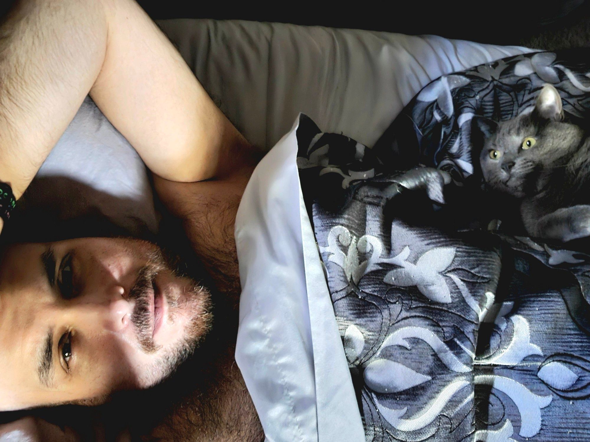 Matt B lying in bed, partially covered with a patterned blanket, gazing directly at the camera. Beside him, a gray cat with yellow eyes lies on the bed, looking towards Matt B. The scene is intimate and relaxed, suggesting a quiet, cozy moment between him and his pet.