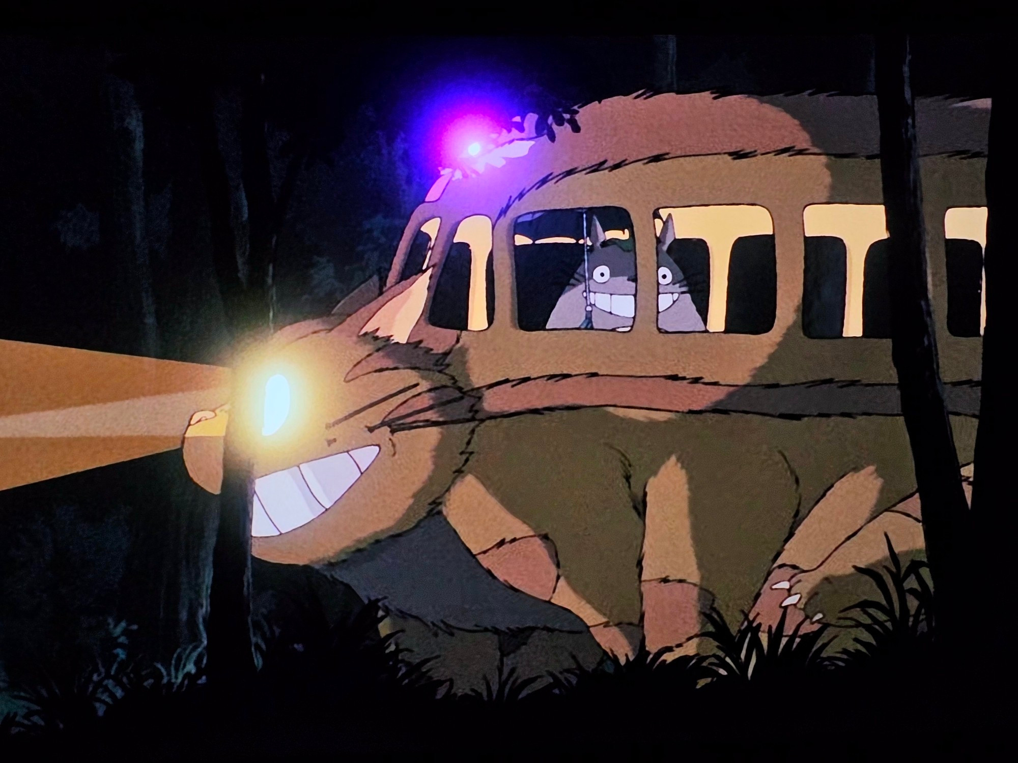 Scene from "My Neighbor Totoro" showing him speeding along in the Catbus