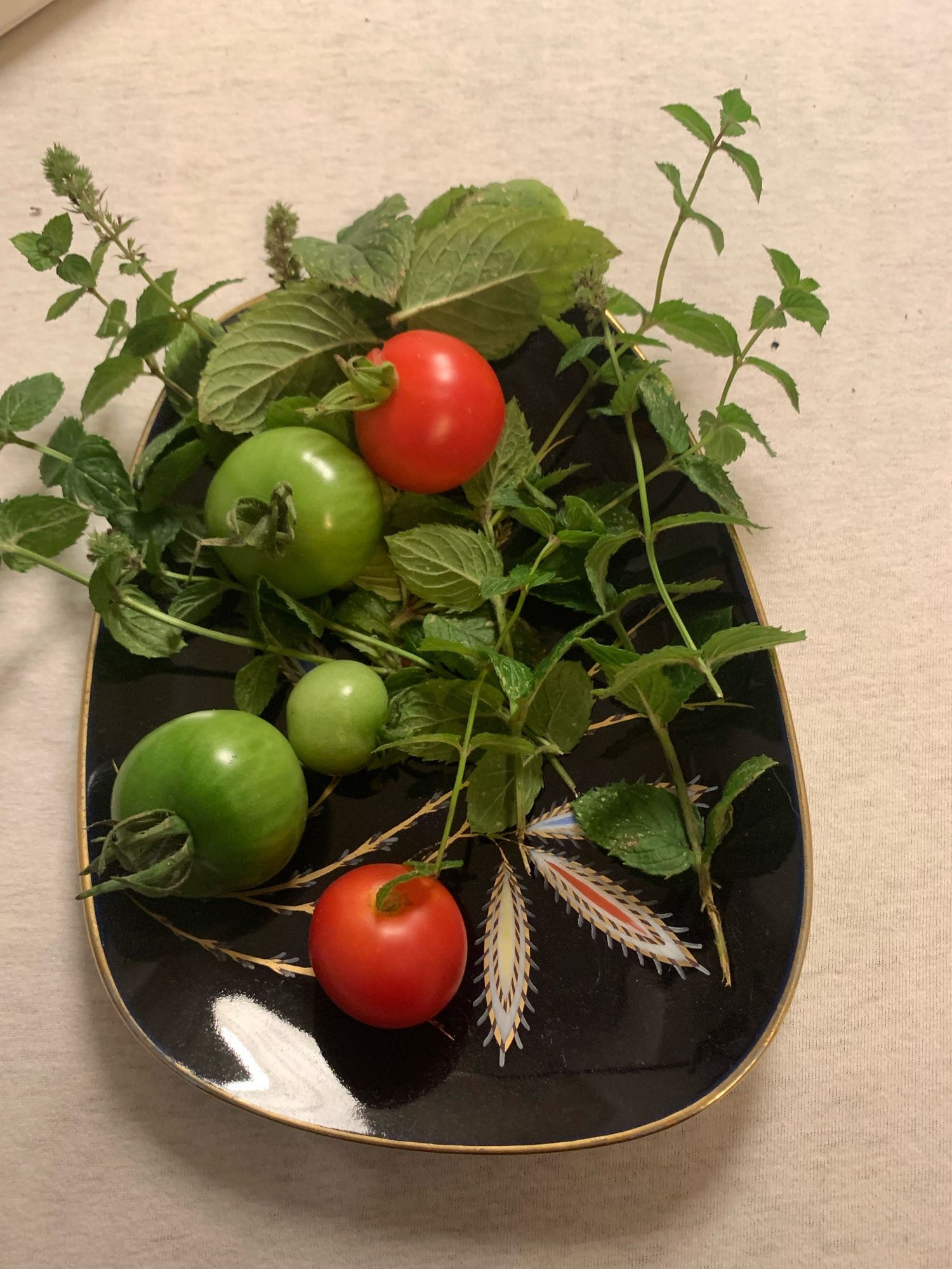 Auf einem antiken Teller in Kobaltblau, Goldrand und floralem Motiv, liegt meine letzte Ernte für dieses Jahr. Tomaten von geretteten Pflanzen, unterschiedlich gereif, und ein wenig Zitronenmelisse. Es duftet herrlich. 
Die grünen Tomaten werden noch rot. Leg sie einfach bei 18-20°C in eine Schublade (wahrscheinlich unter dem Backofen) und bedecke sie mit einer Lage Zeltungspapier. Ab und zu kontrollieren, so sollten sie schön reif werden. Ich hab Freude daran. Vor allem, weil ich kaum Nutzpflanzen kaufe. Meist ergibt es sich. Dieses Jahr waren es 5 oder 6 tolle Pflanzen verschiedener Tomaten-Sorten.