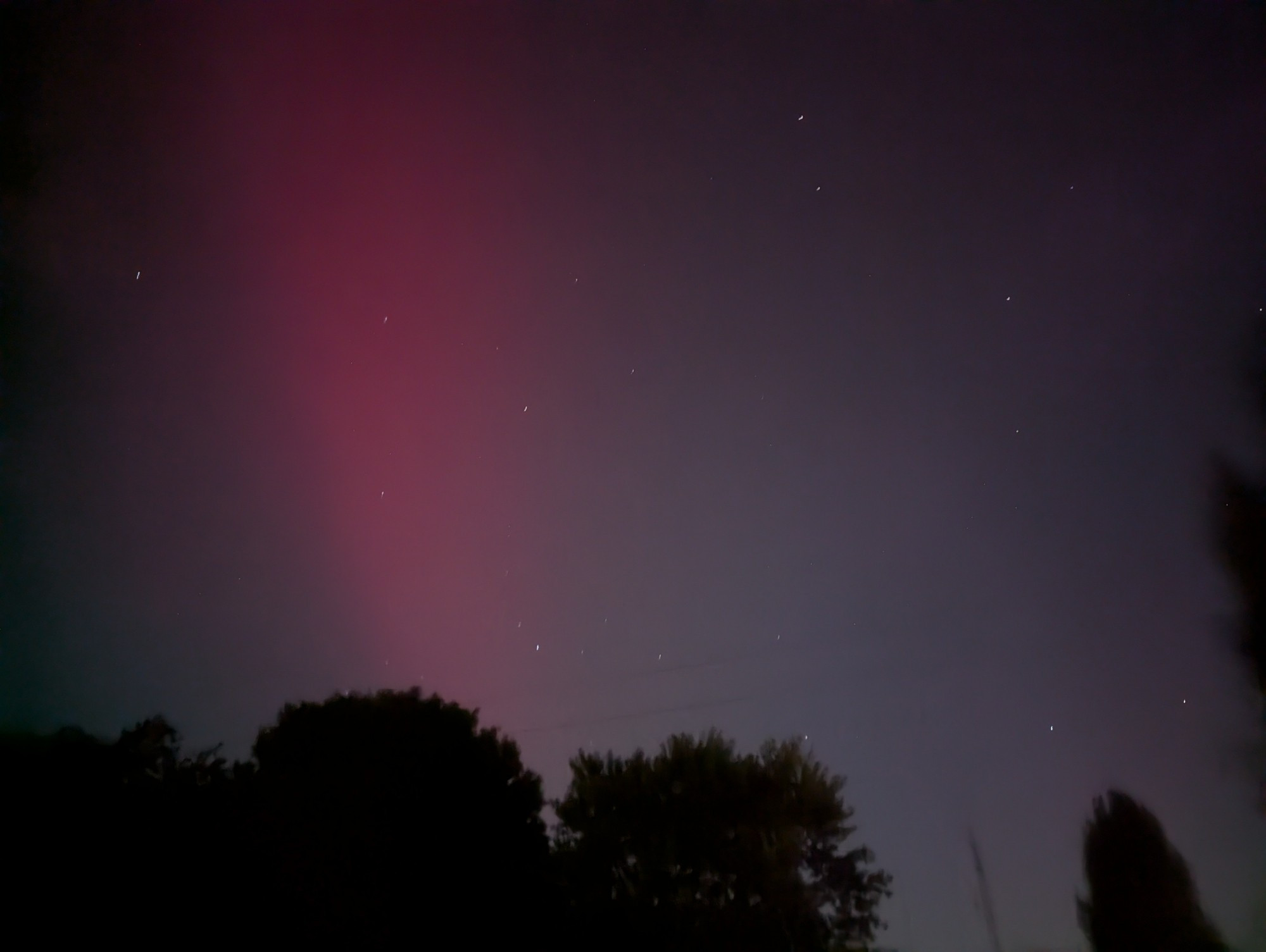 Magenta pink Aurora above some trees