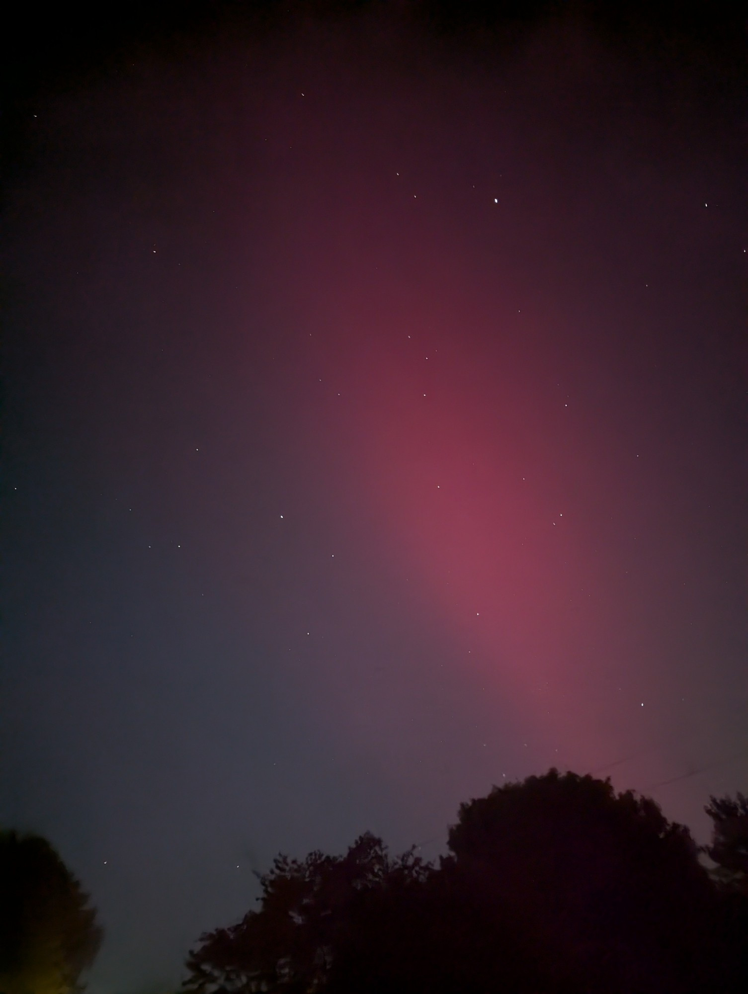 Magenta pink Aurora above some trees