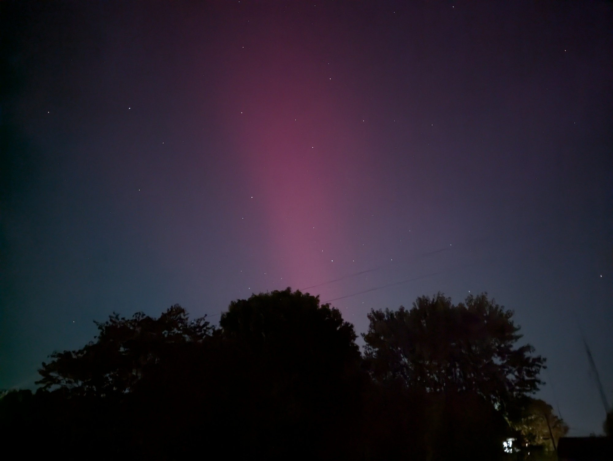 Magenta pink Aurora above some trees