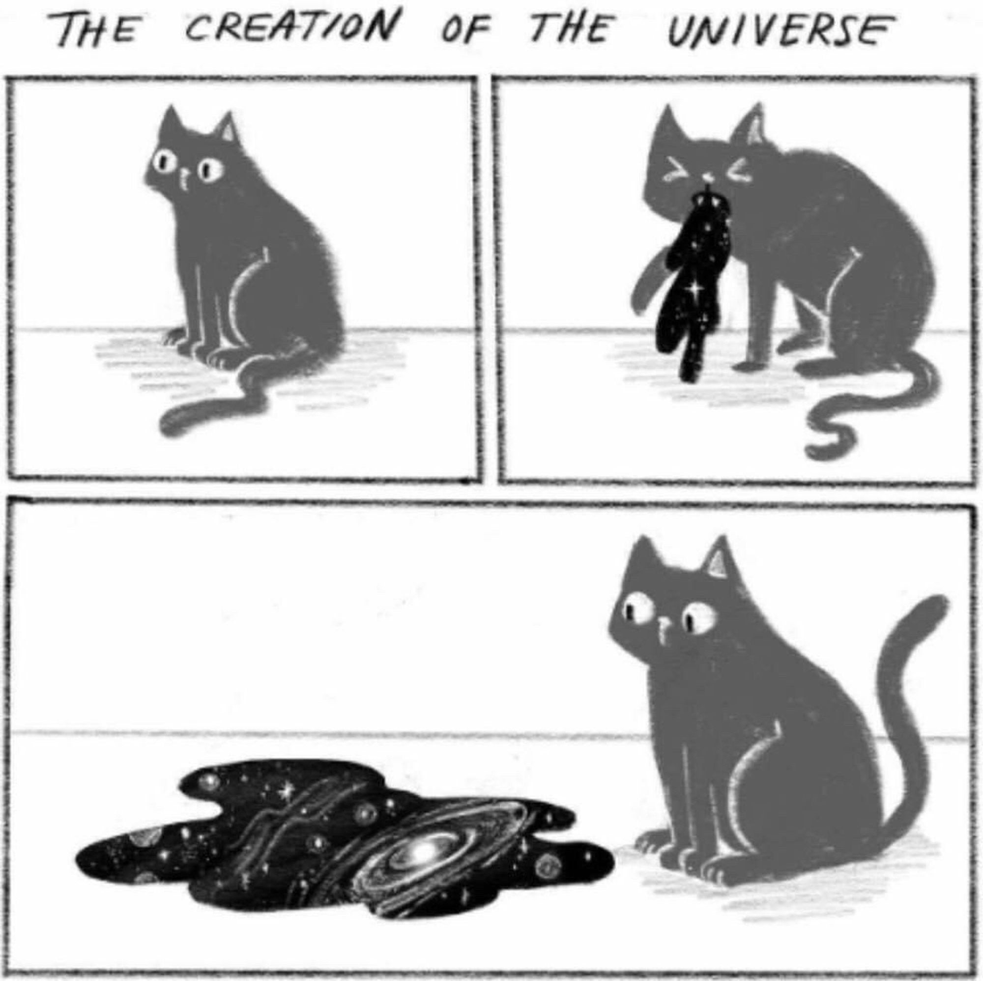 Bild geteilt in 3 einzelne Bilder. Oben steht: „the creation of the universe“ 

Bild 1 zeigt eine schwarze Katze die einfach irgendwo sitzt. 

Bild 2 zeigt die Katze wie sie kotzt. 

Das unterste Bild 3 zeigt die Katze wie sie auf ihre Kotze schaut. In der Kotze sieht man Planeten und Sterne.